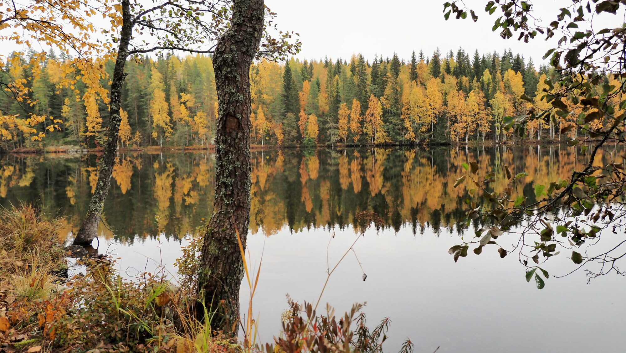 Valokuvaaja: Arja Valtonen Valokuvaaja: Arja Valtonen