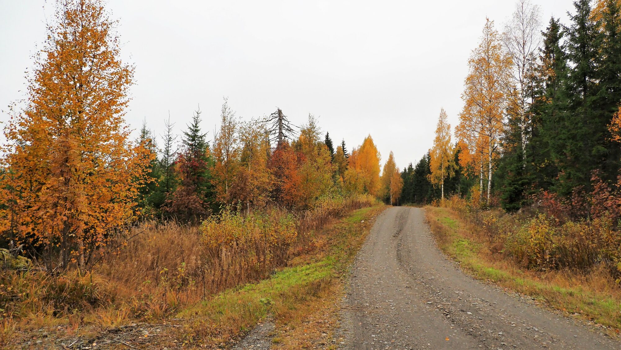 Valokuvaaja: Arja Valtonen