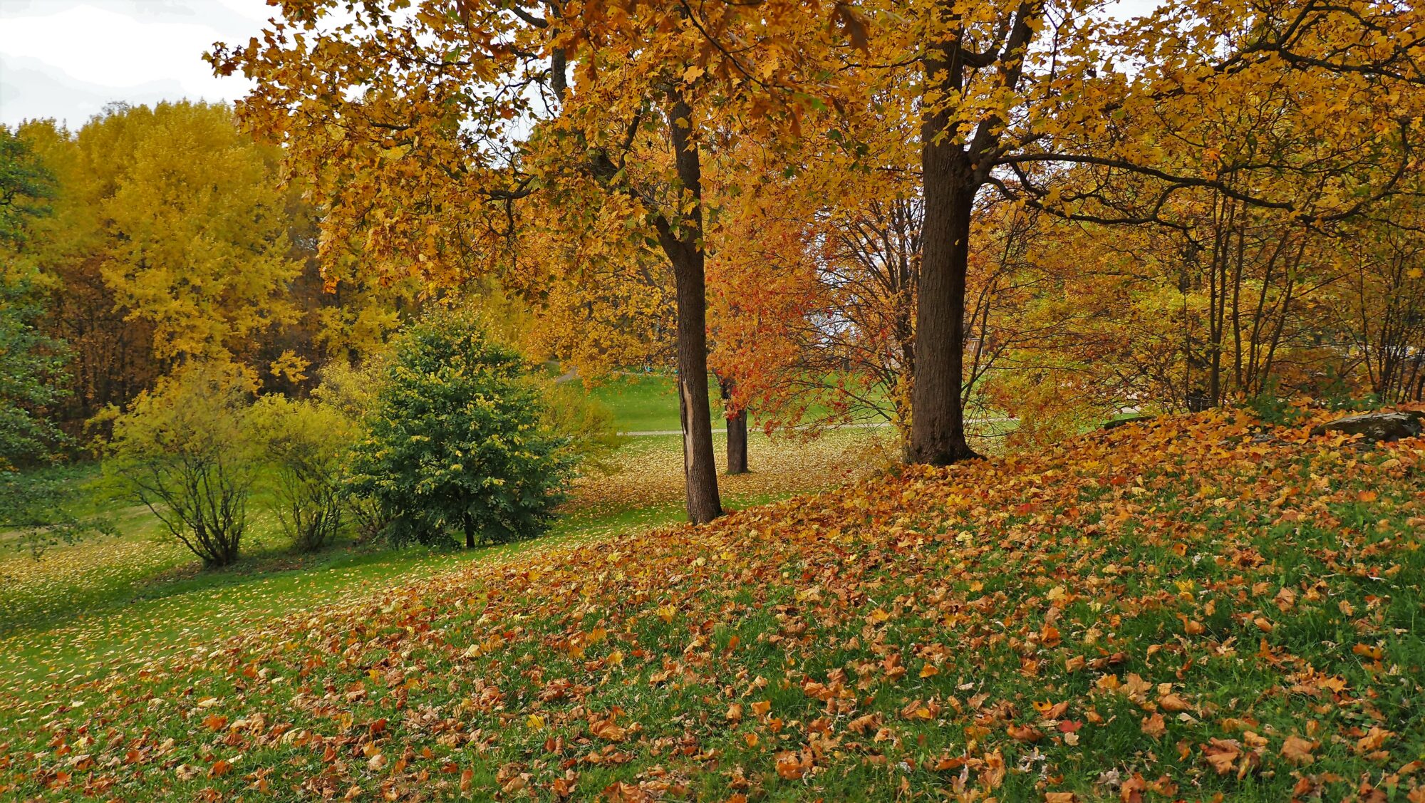 Valokuvaaja: Arja Valtonen Valokuvaaja: Arja Valtonen