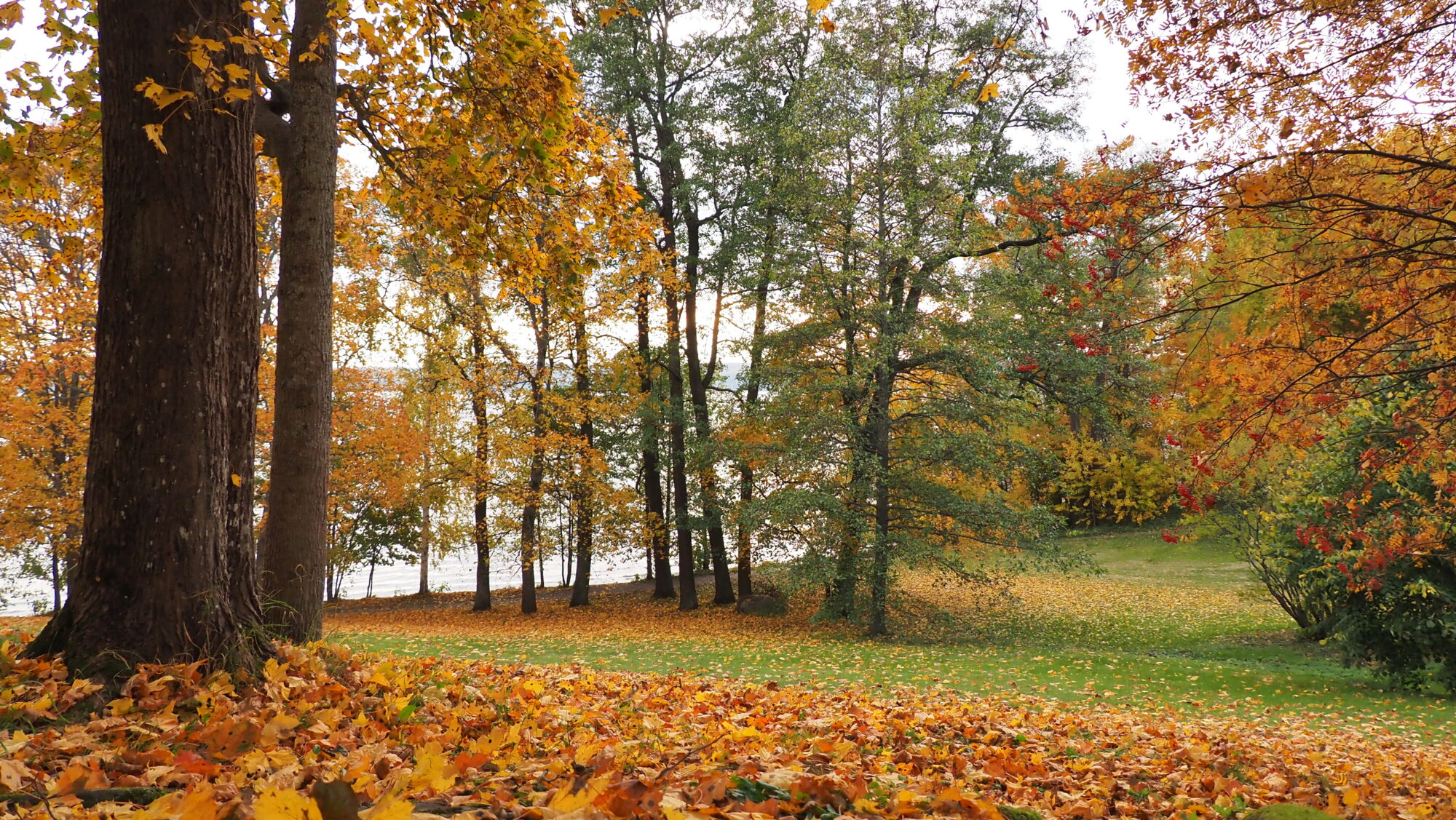 Valokuvaaja: Arja Valtonen