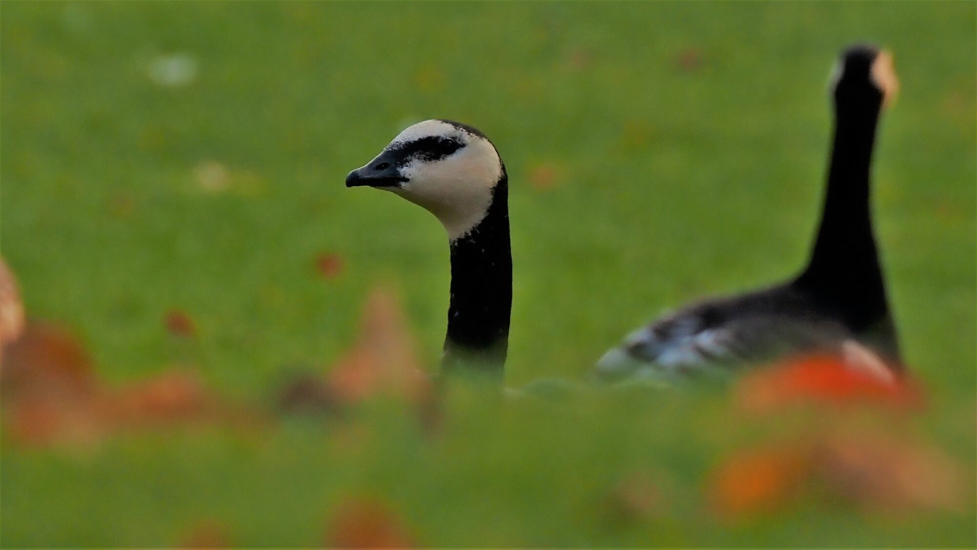 Valokuvaaja: Arja Valtonen