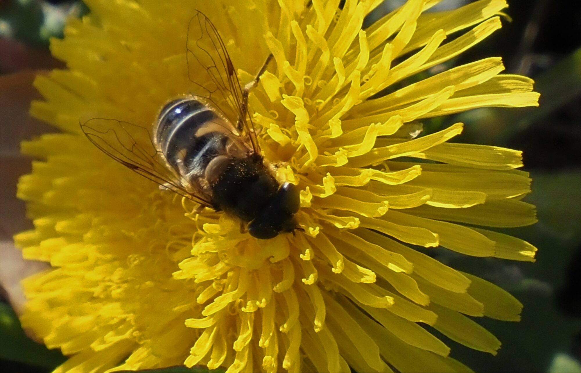 Valokuvaaja: Arja Valtonen