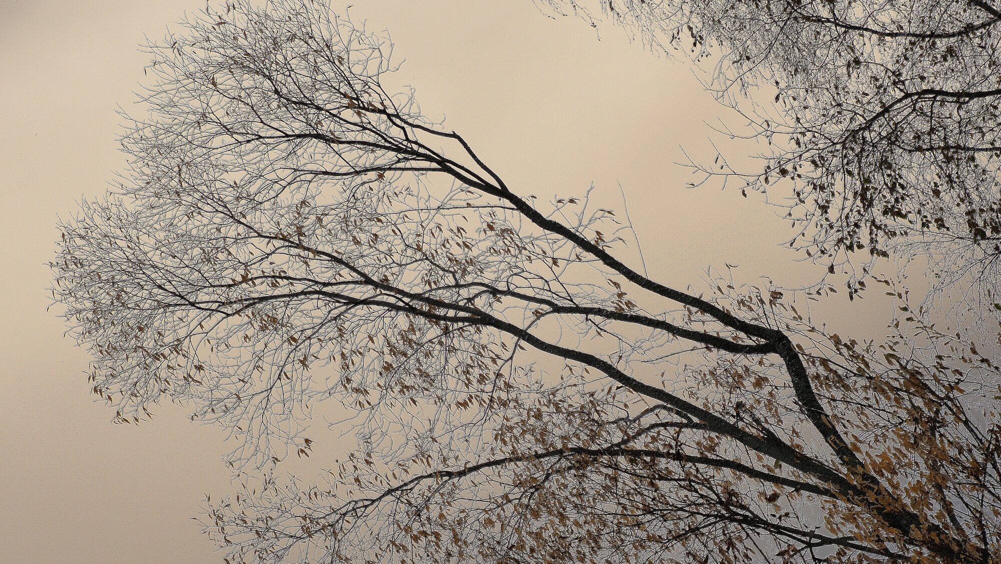 Valokuvaaja: Arja Valtonen