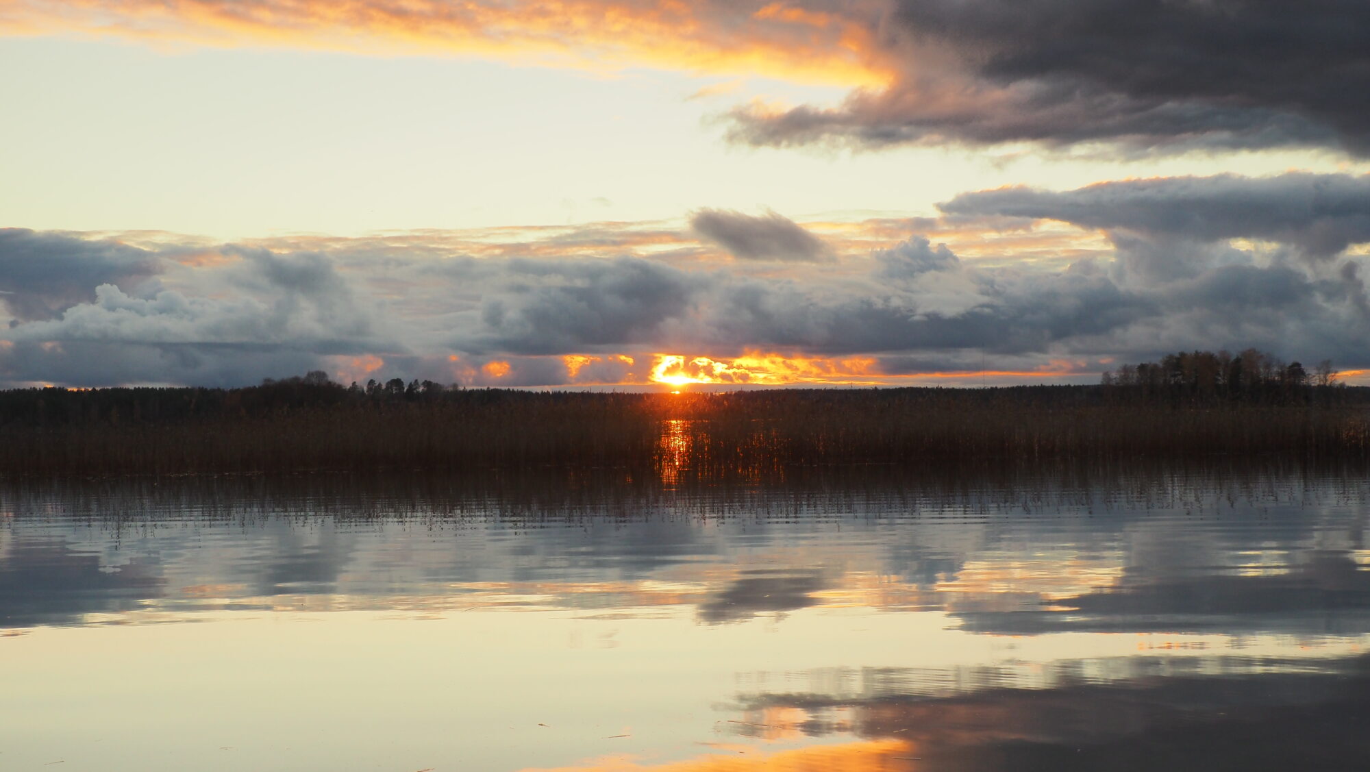 Valokuvaaja: Arja Valtonen