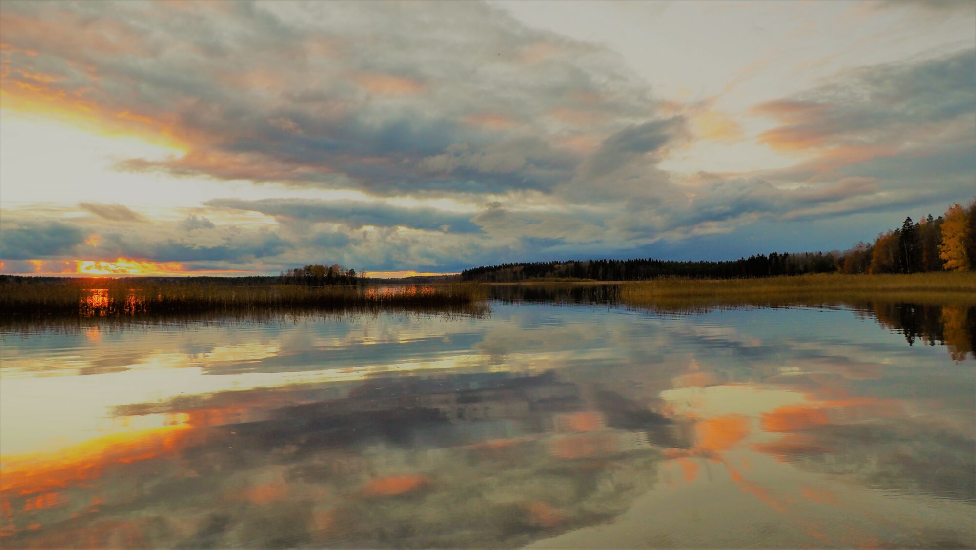 Valokuvaaja: Arja Valtonen
