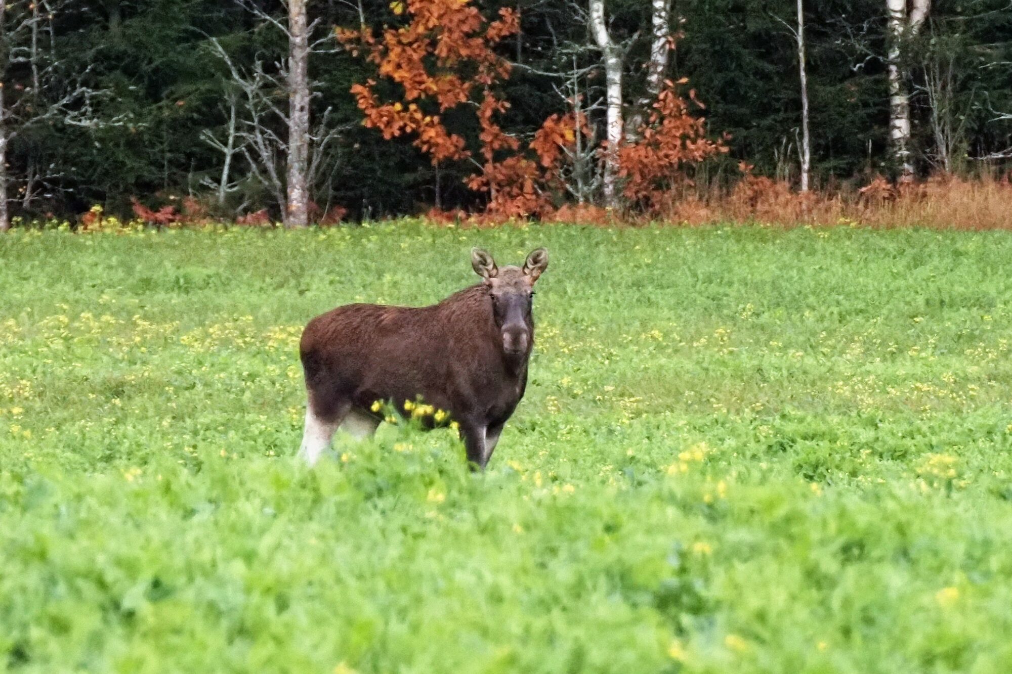 Valokuvaaja: Arja Valtonen