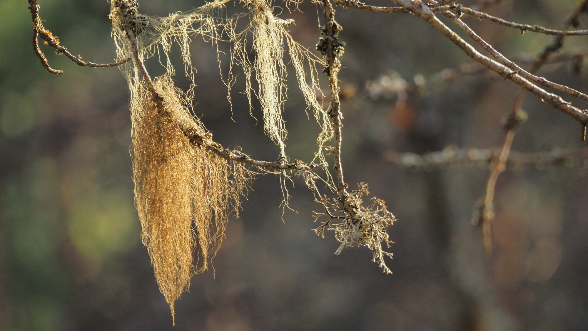 Valokuvaaja: Arja Valtonen