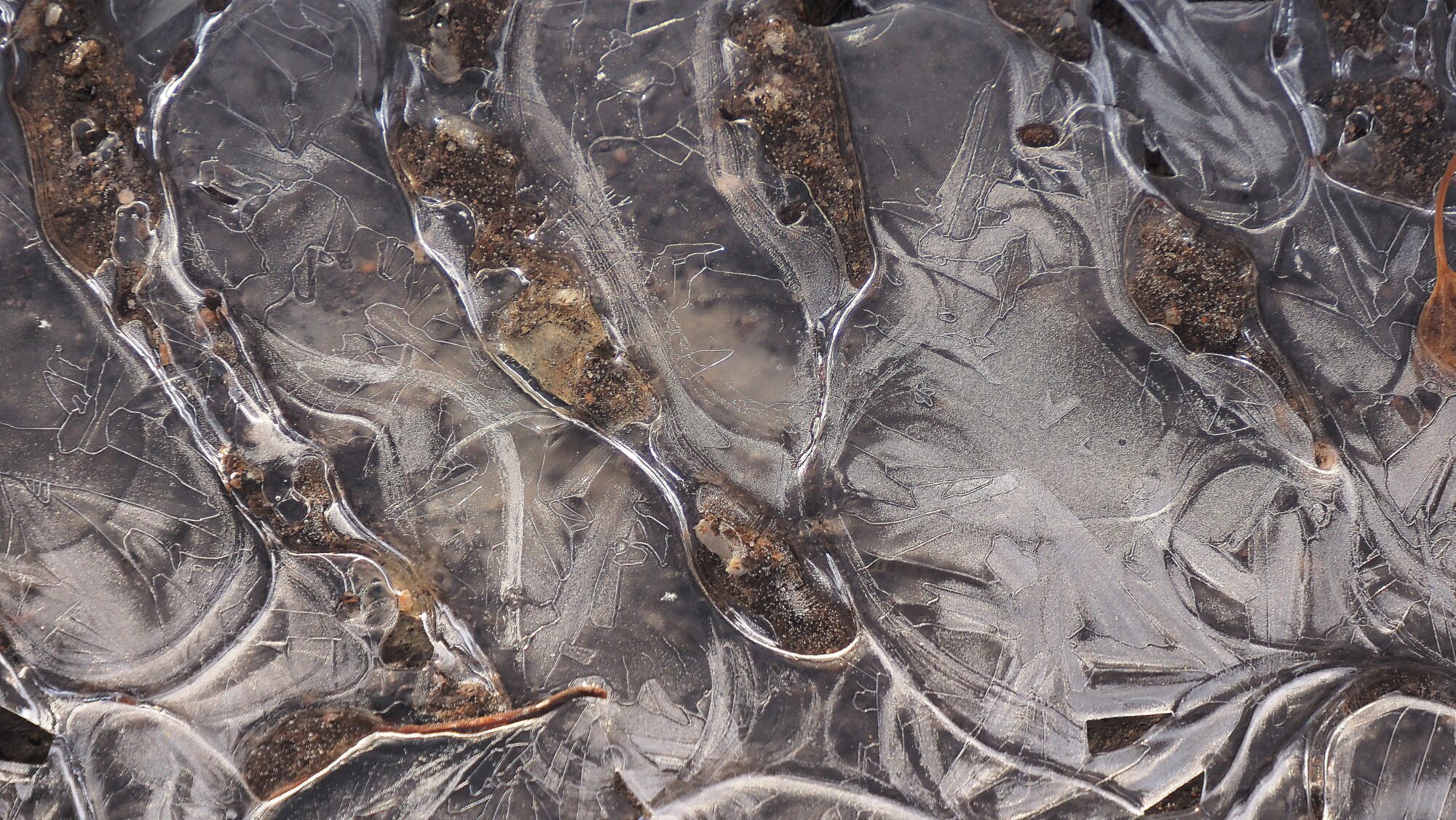 Valokuvaaja: Arja Valtonen