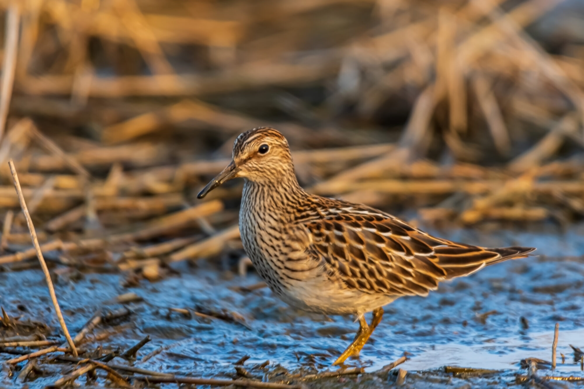 Valokuvaaja: Juha Suhonen