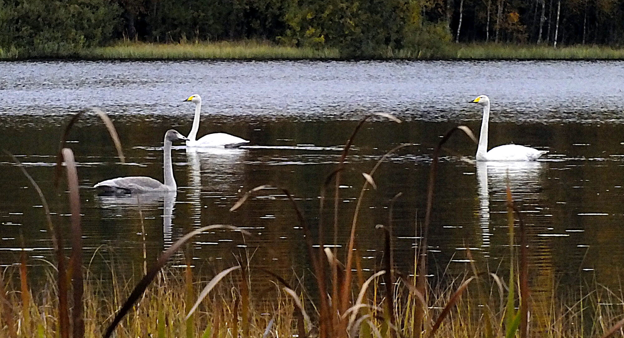Valokuvaaja: Hannu Rasiranta