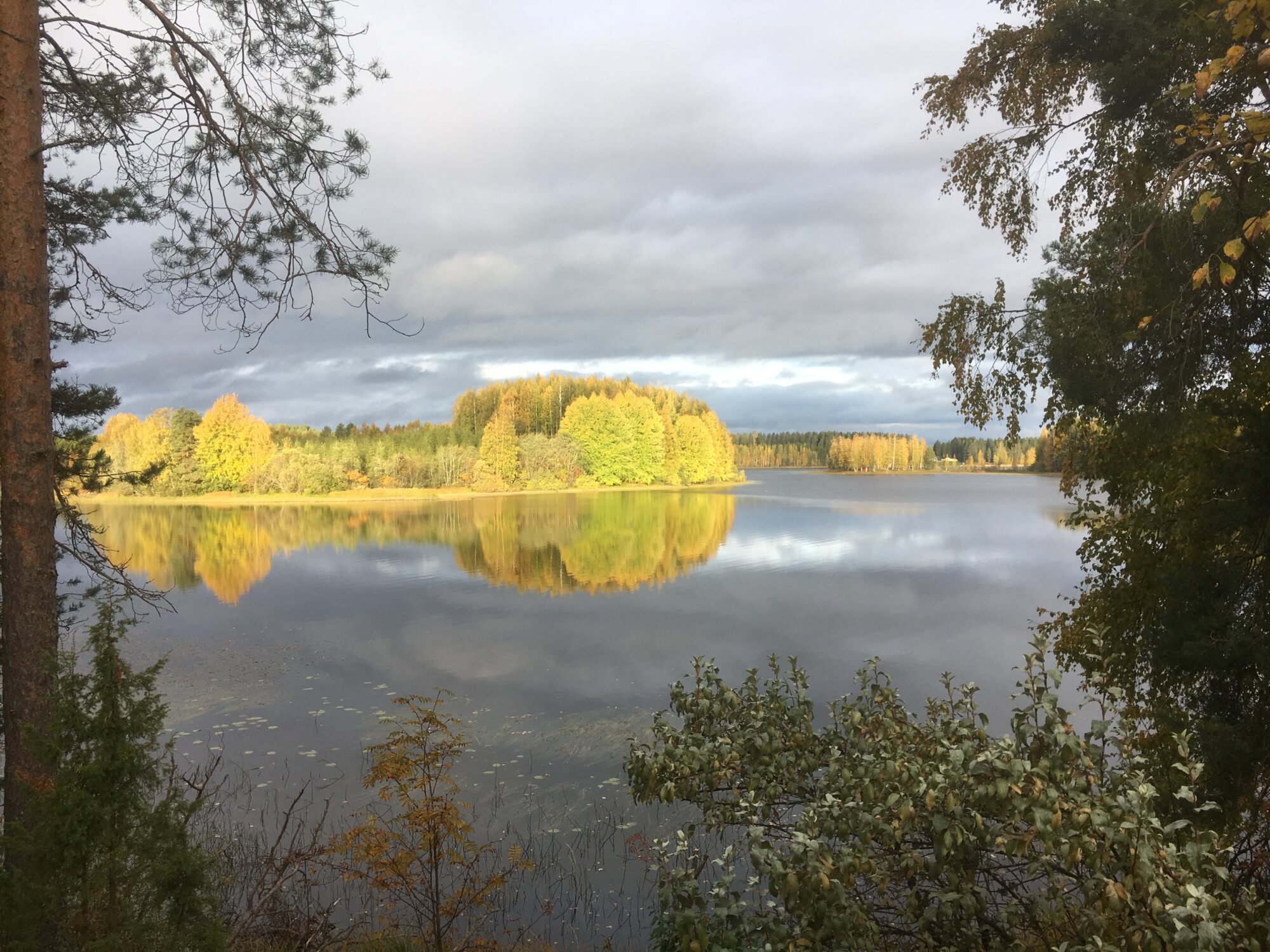 Valokuvaaja: Hannele Savolainen