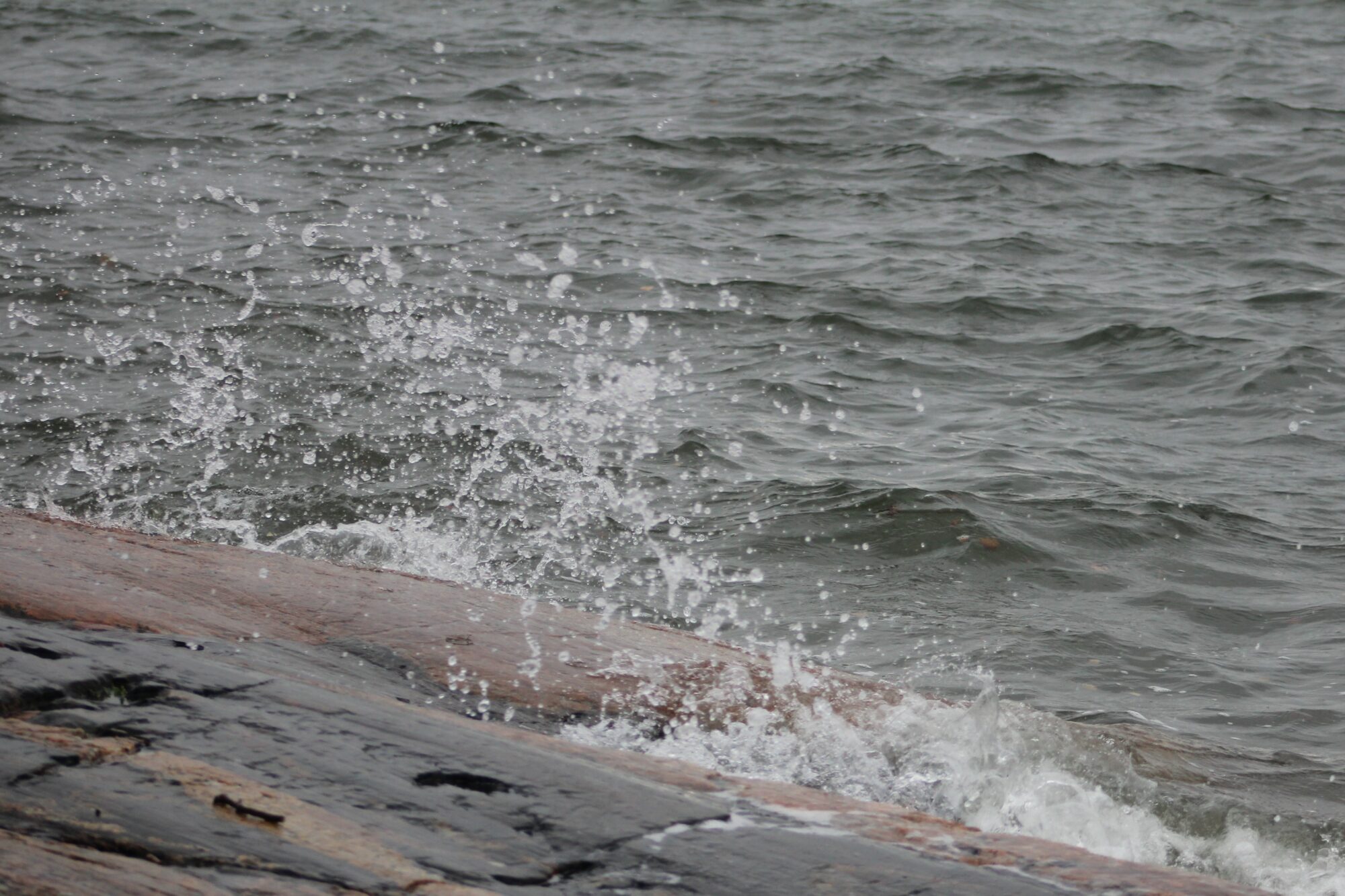 Valokuvaaja: Lisa Aarnio