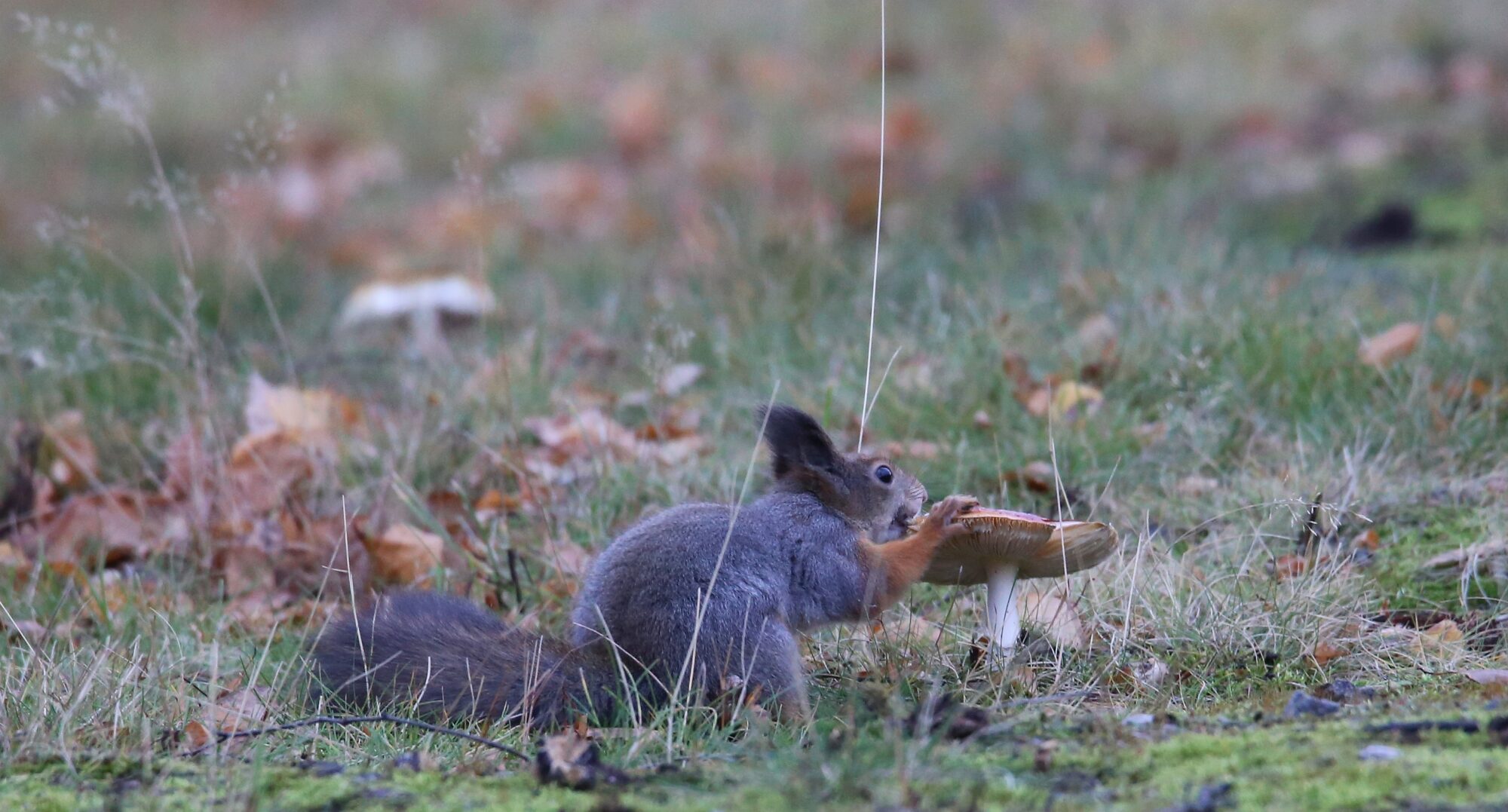 Valokuvaaja: Jaana Saarelainen
