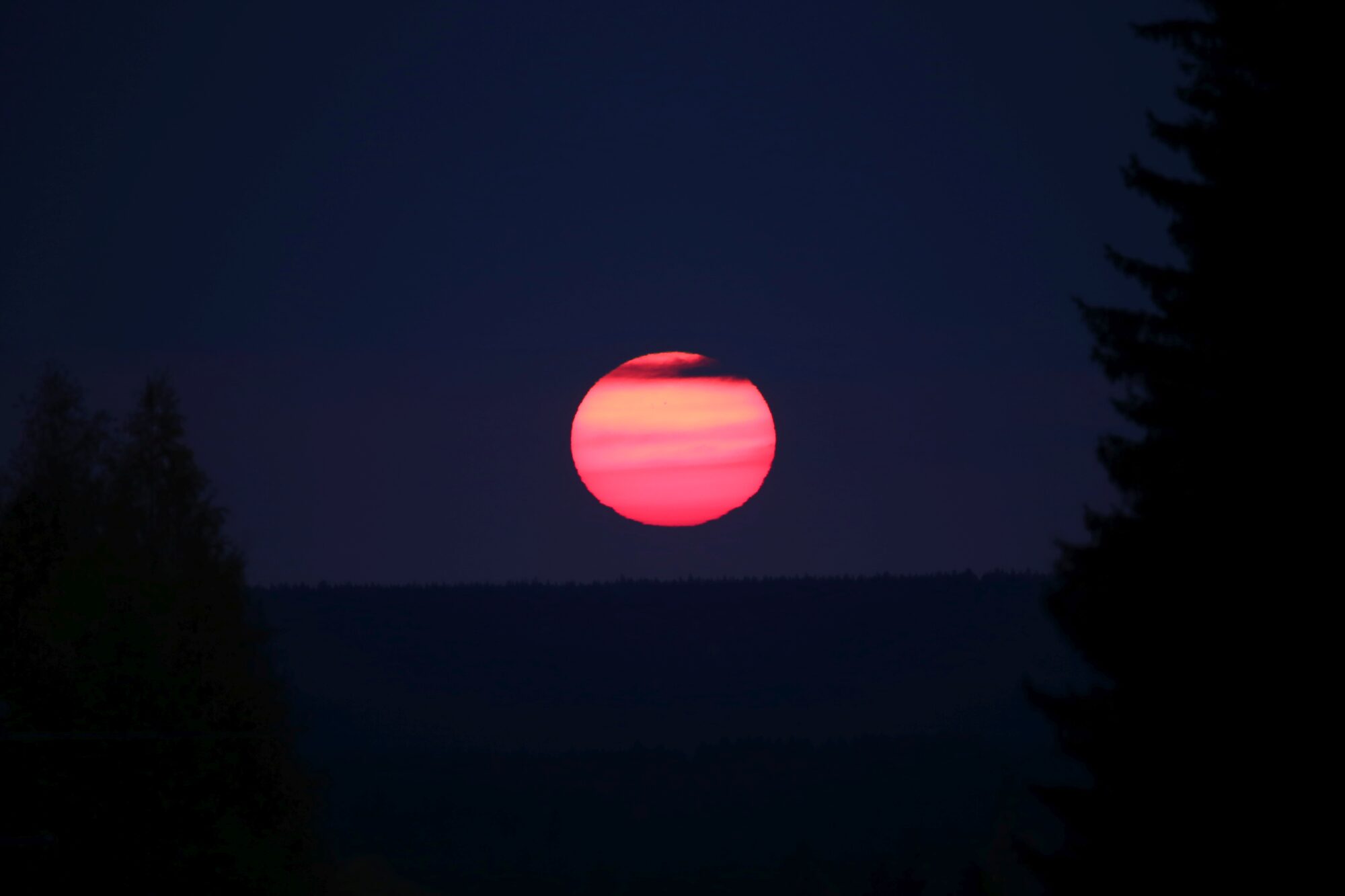 Valokuvaaja: Jaana Saarelainen