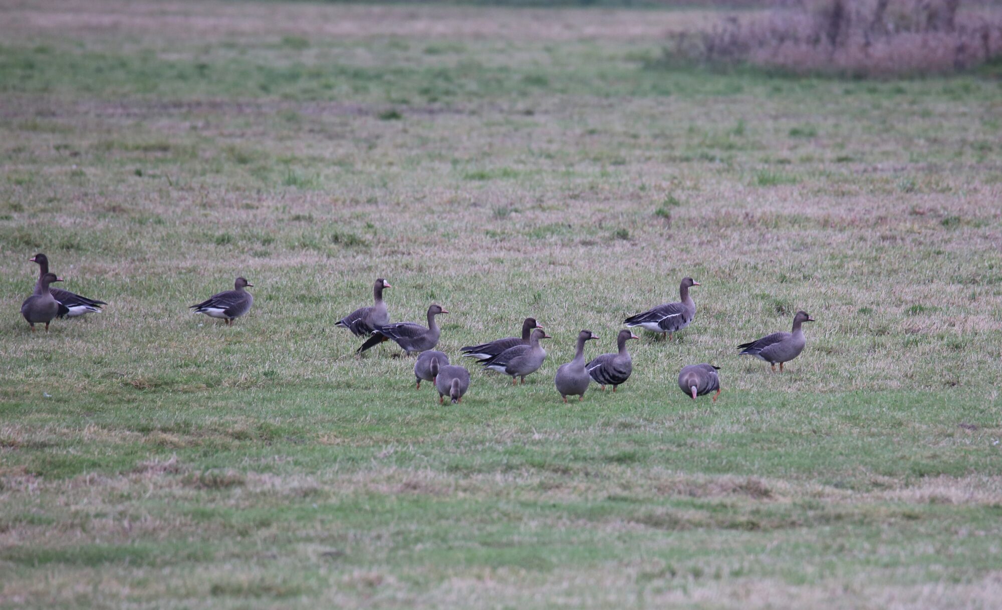 Valokuvaaja: Jaana Saarelainen