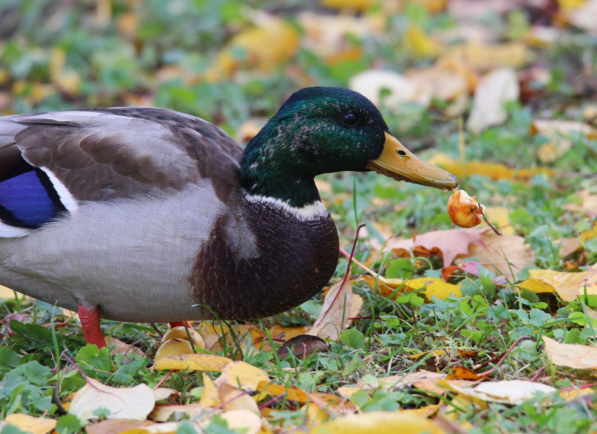 Valokuvaaja: Jaana Saarelainen