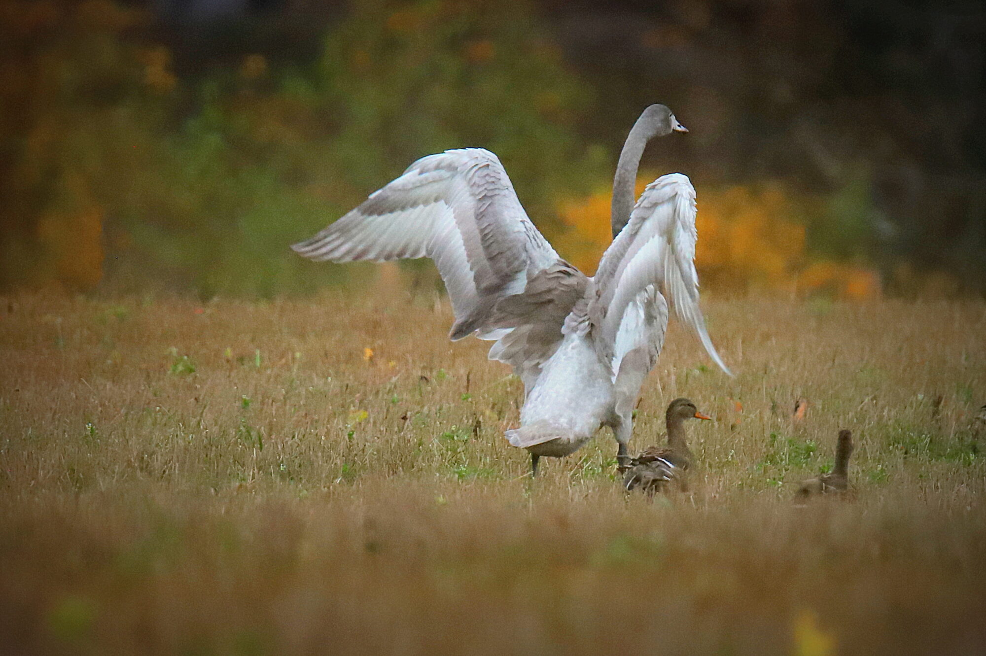 Valokuvaaja: sirpa jyske