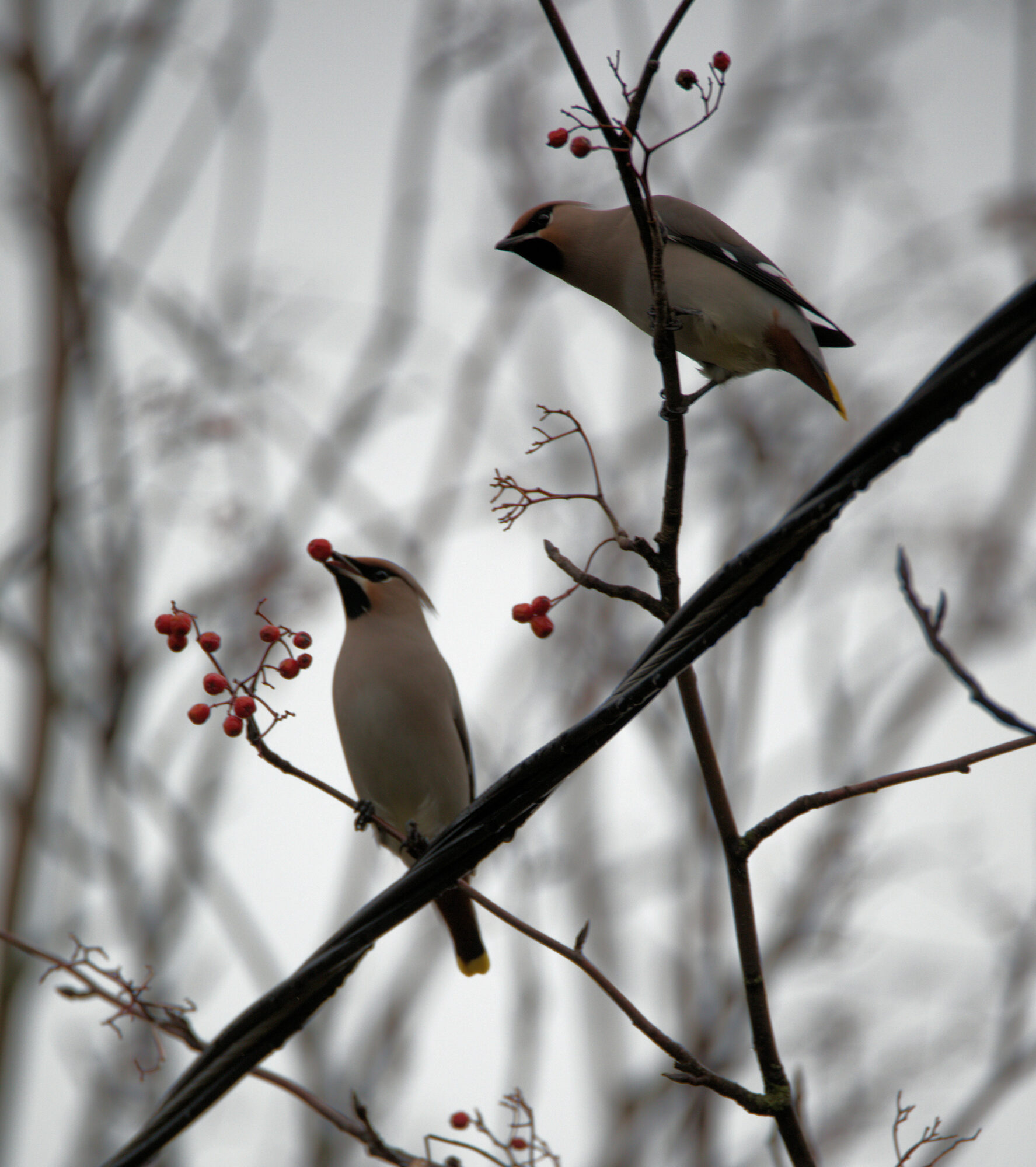 Valokuvaaja: Ahti Keränen