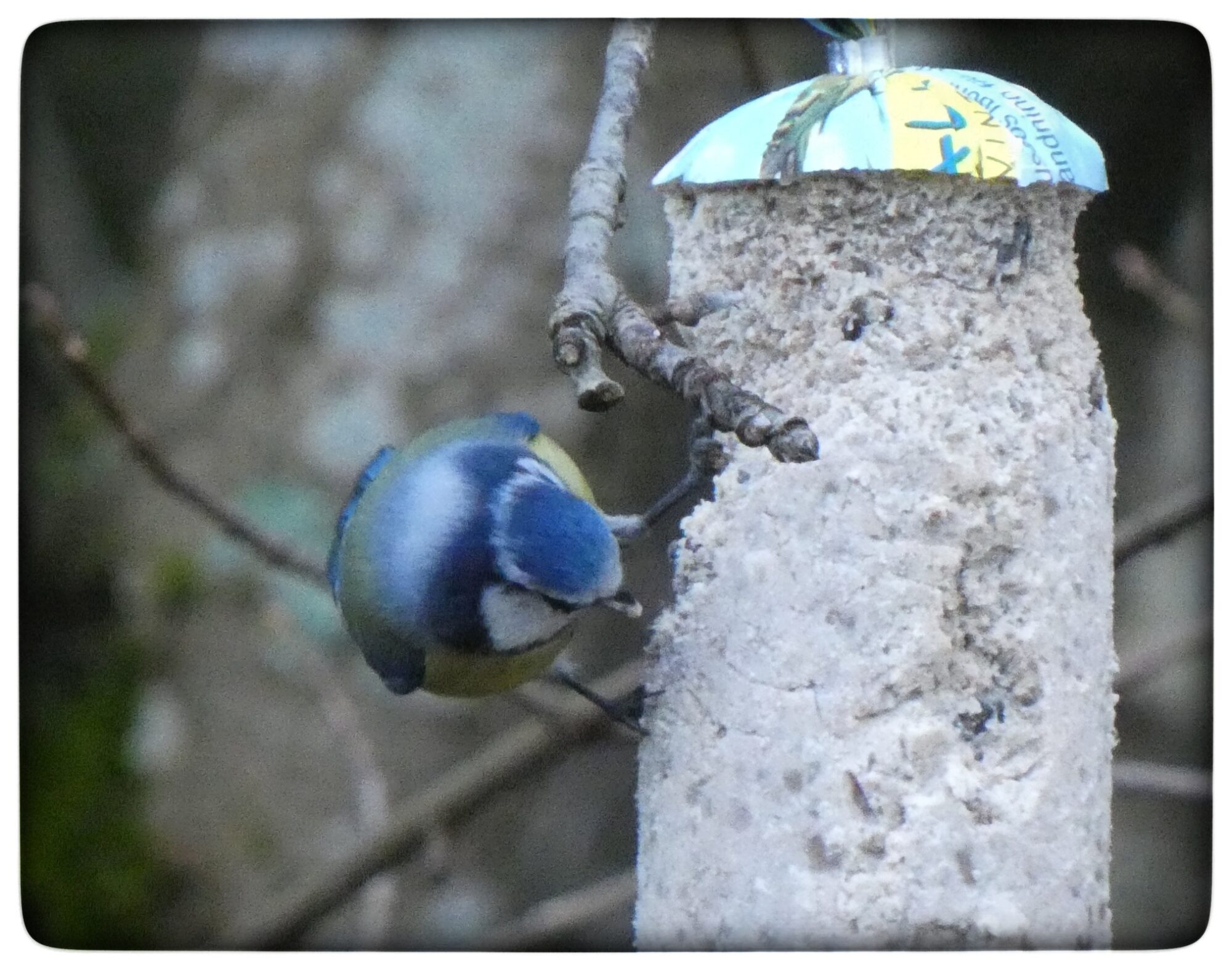 Valokuvaaja: Pekka Heino