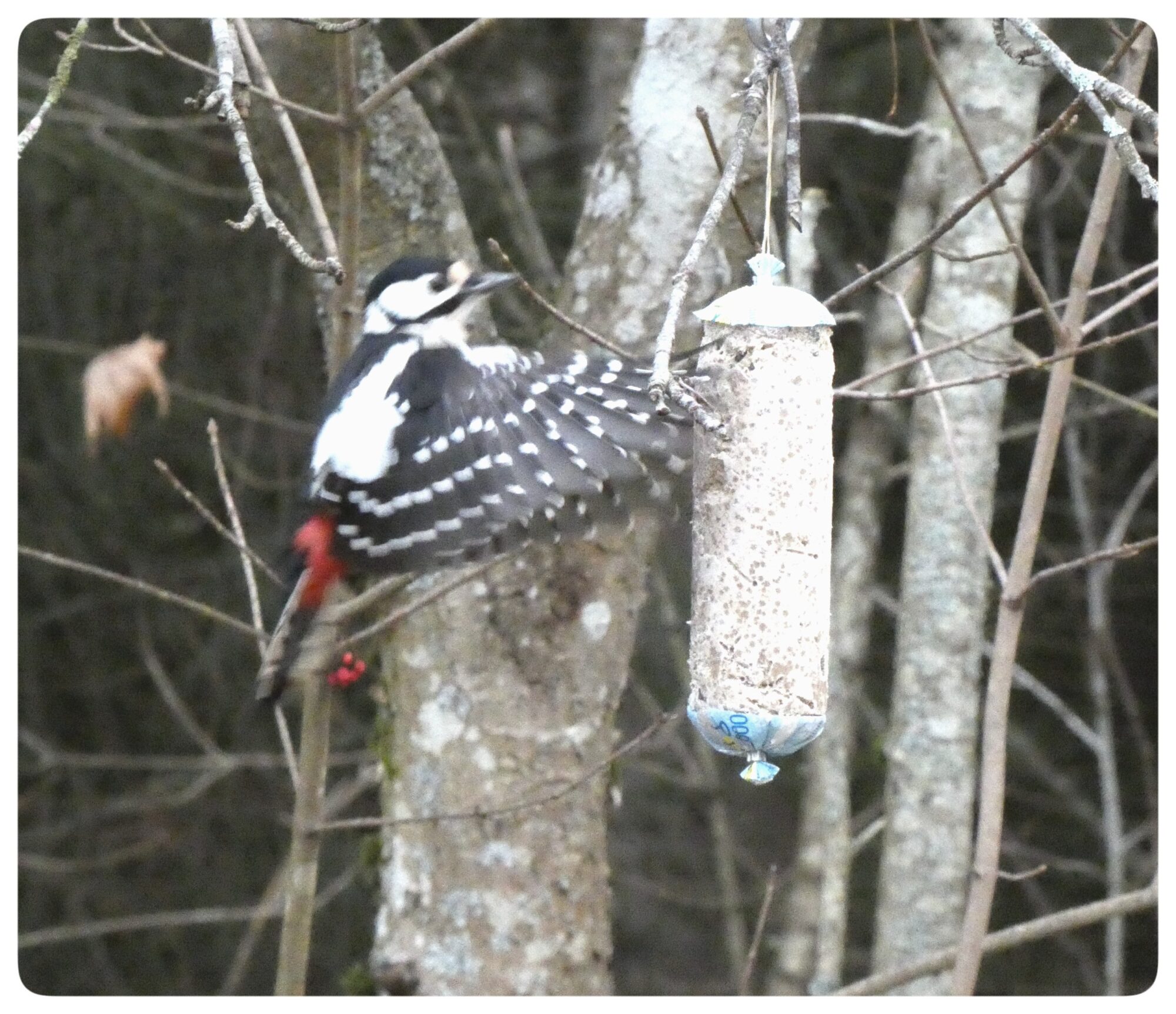 Valokuvaaja: Pekka Heino