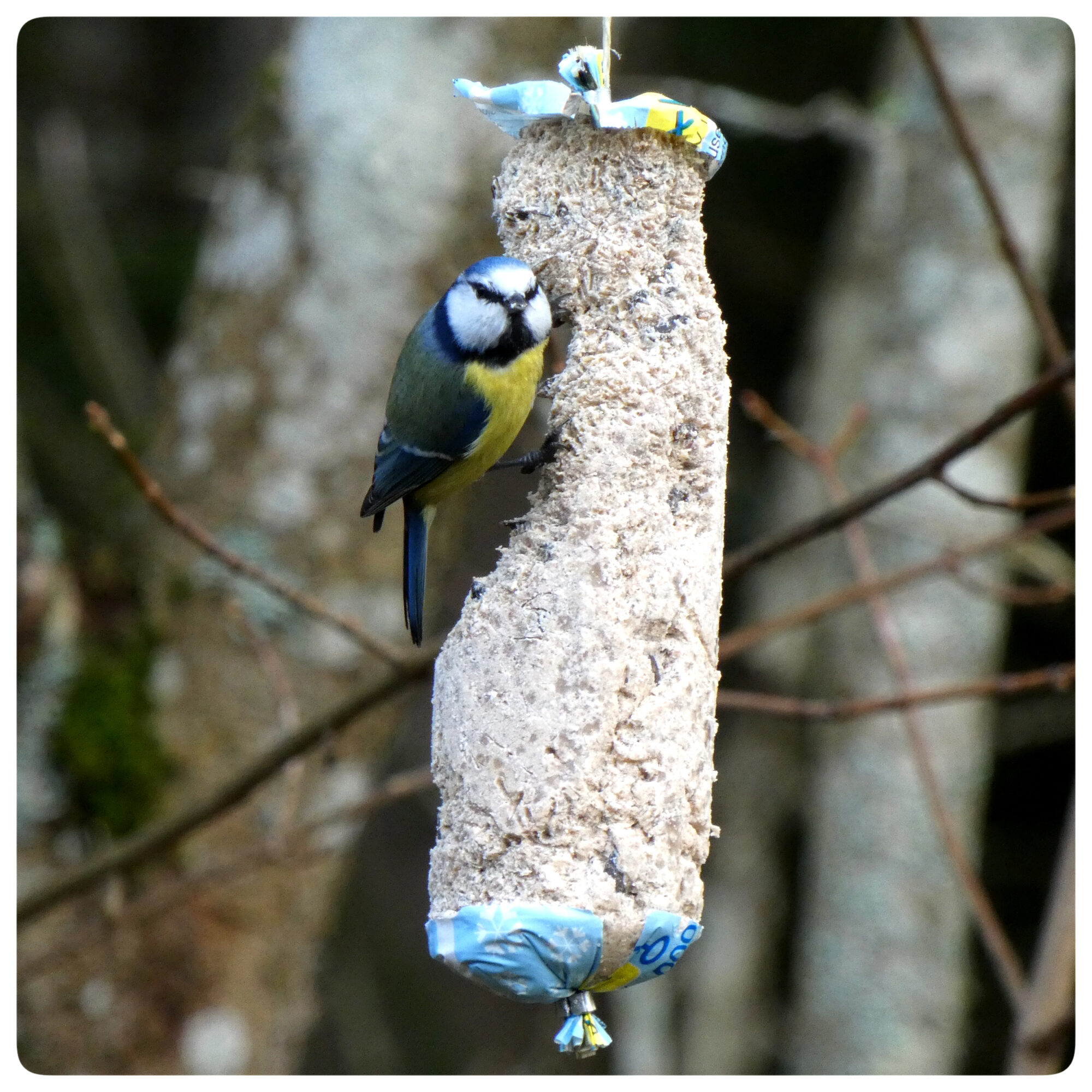 Valokuvaaja: Pekka Heino