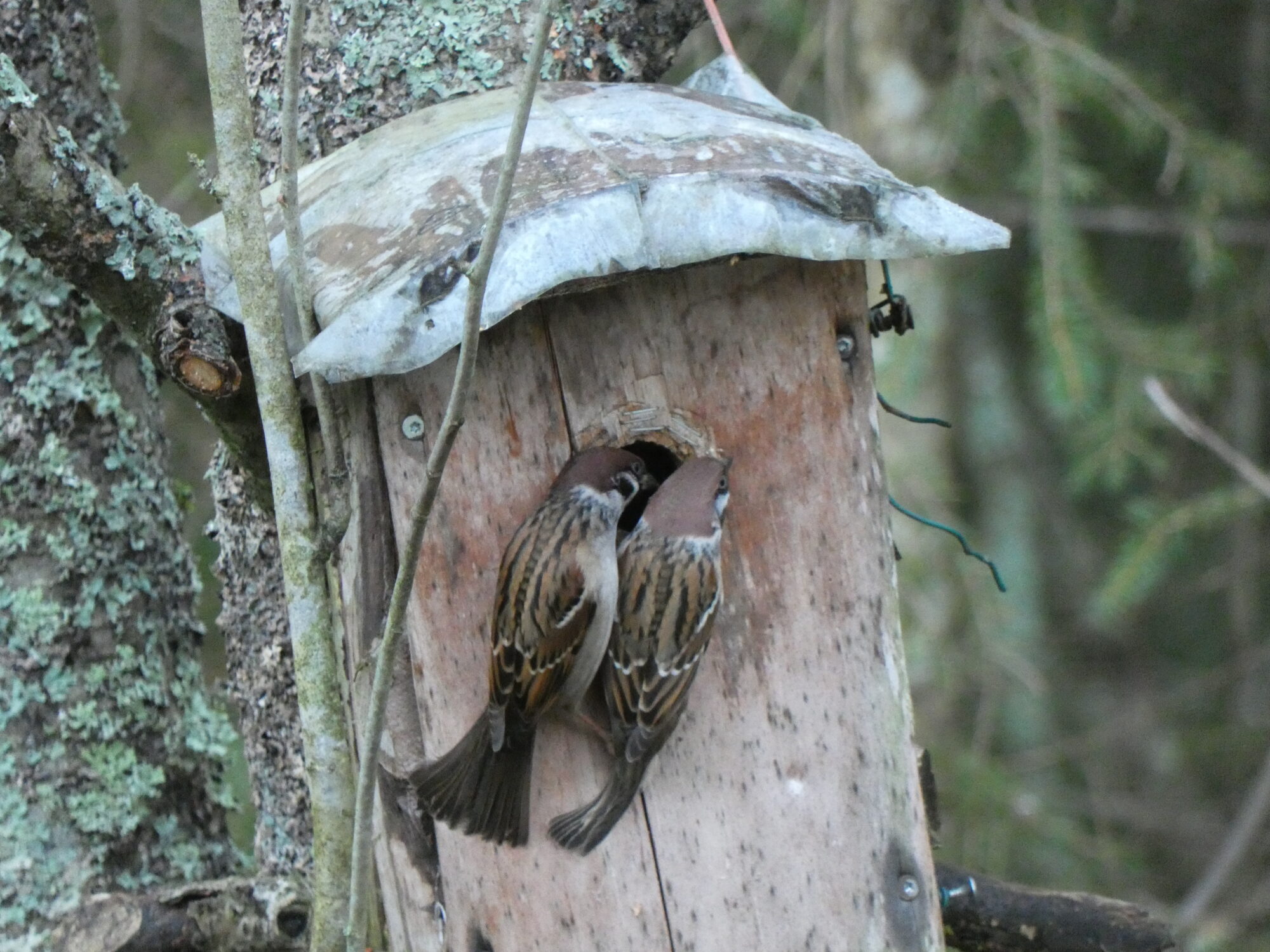Valokuvaaja: Pekka Heino