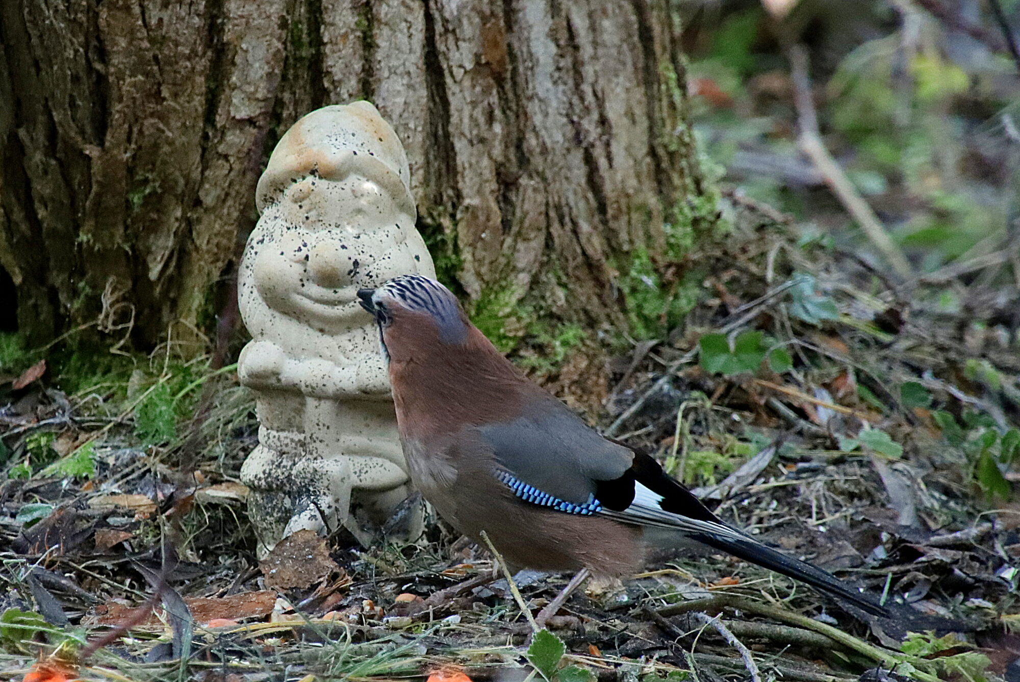 Valokuvaaja: sirpa jyske