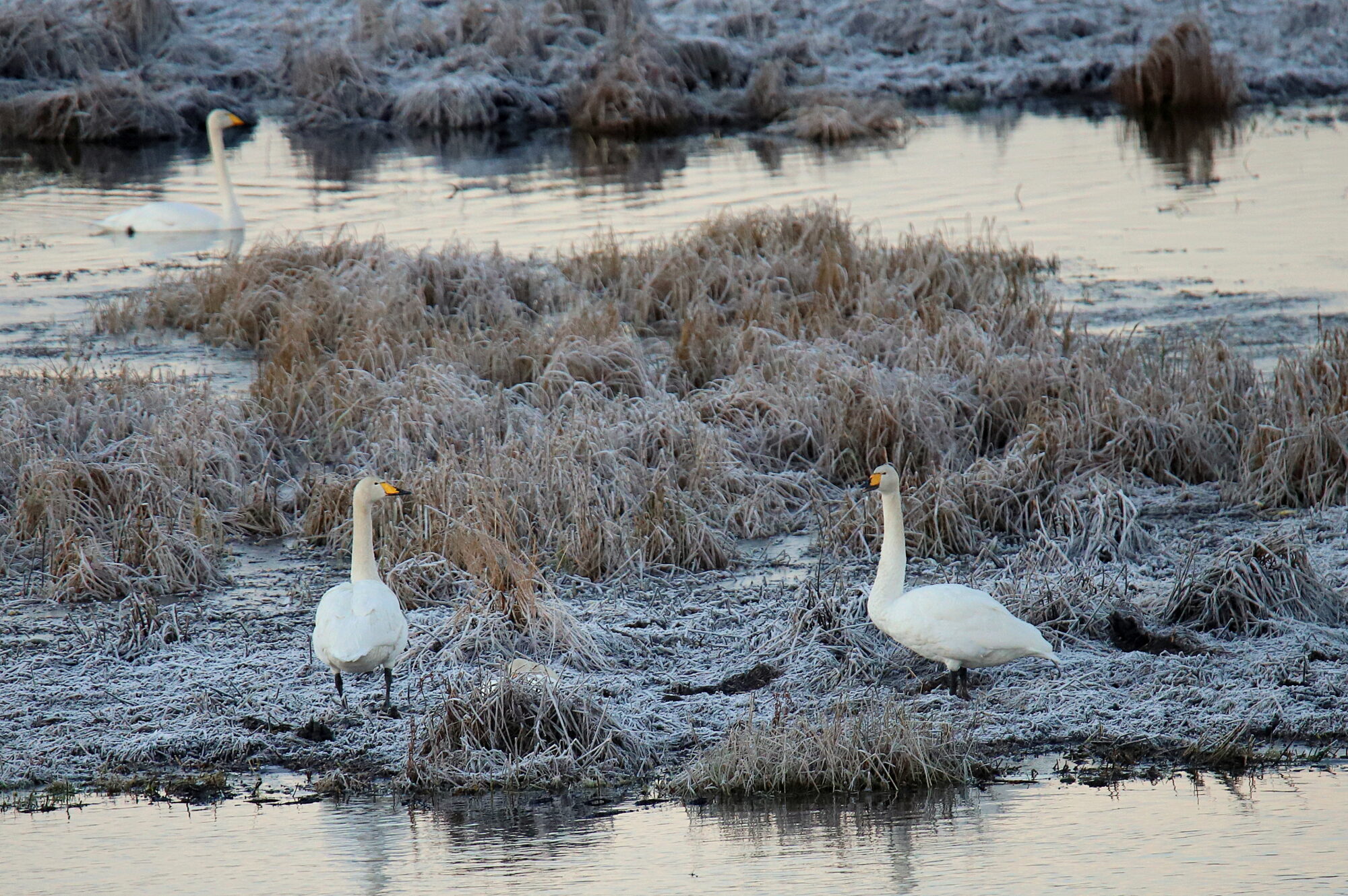 Valokuvaaja: sirpa jyske