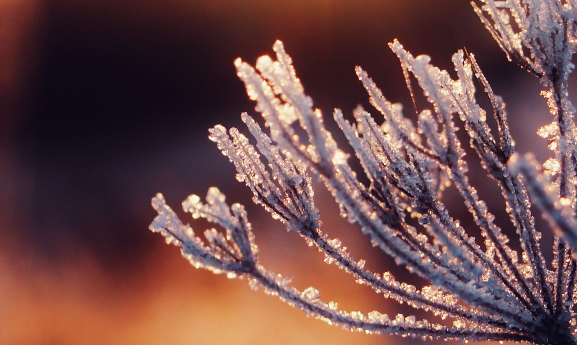 Valokuvaaja: Sonja Jaakola