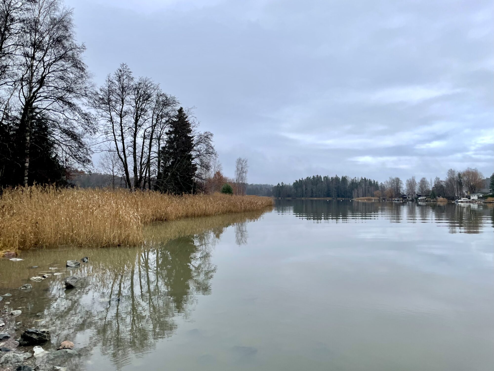 Valokuvaaja: Juhani Peltonen Valokuvaaja: Juhani Peltonen