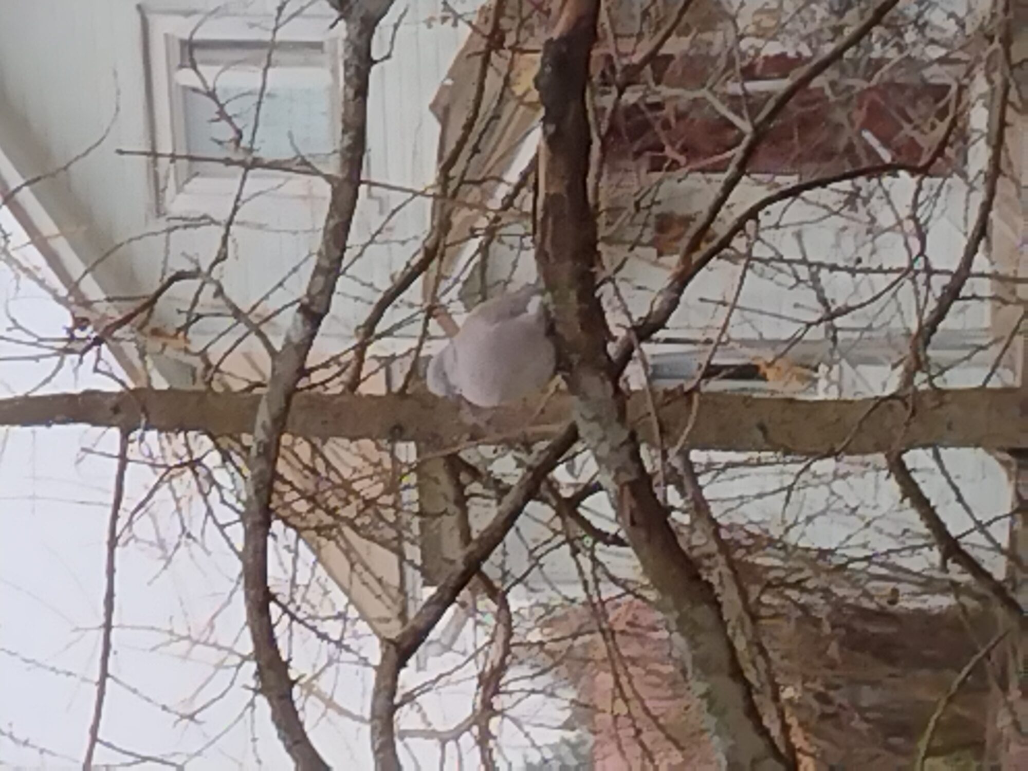 Valokuvaaja: Leena Pyykkö