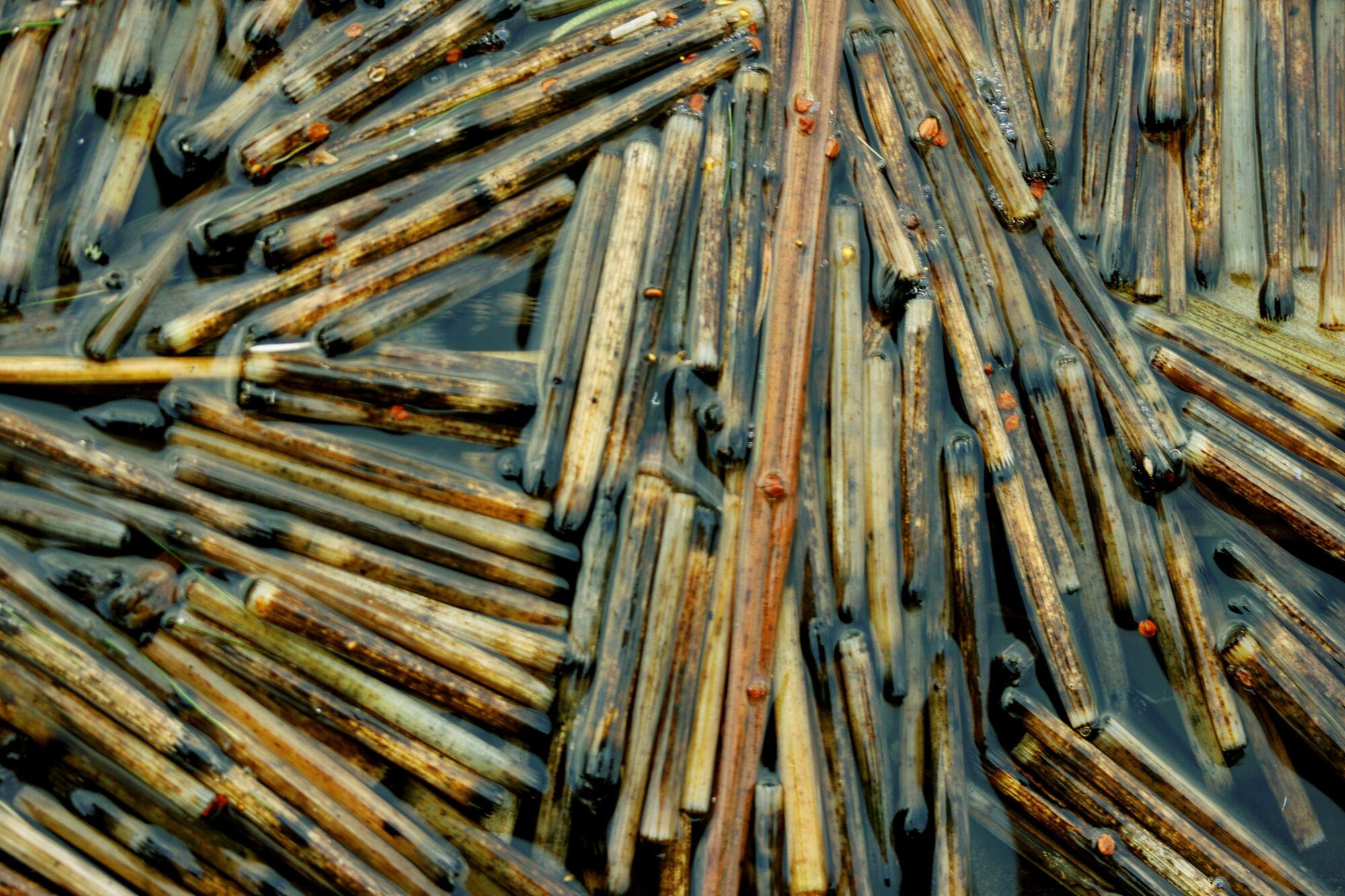 Valokuvaaja: Ritva Nieminen