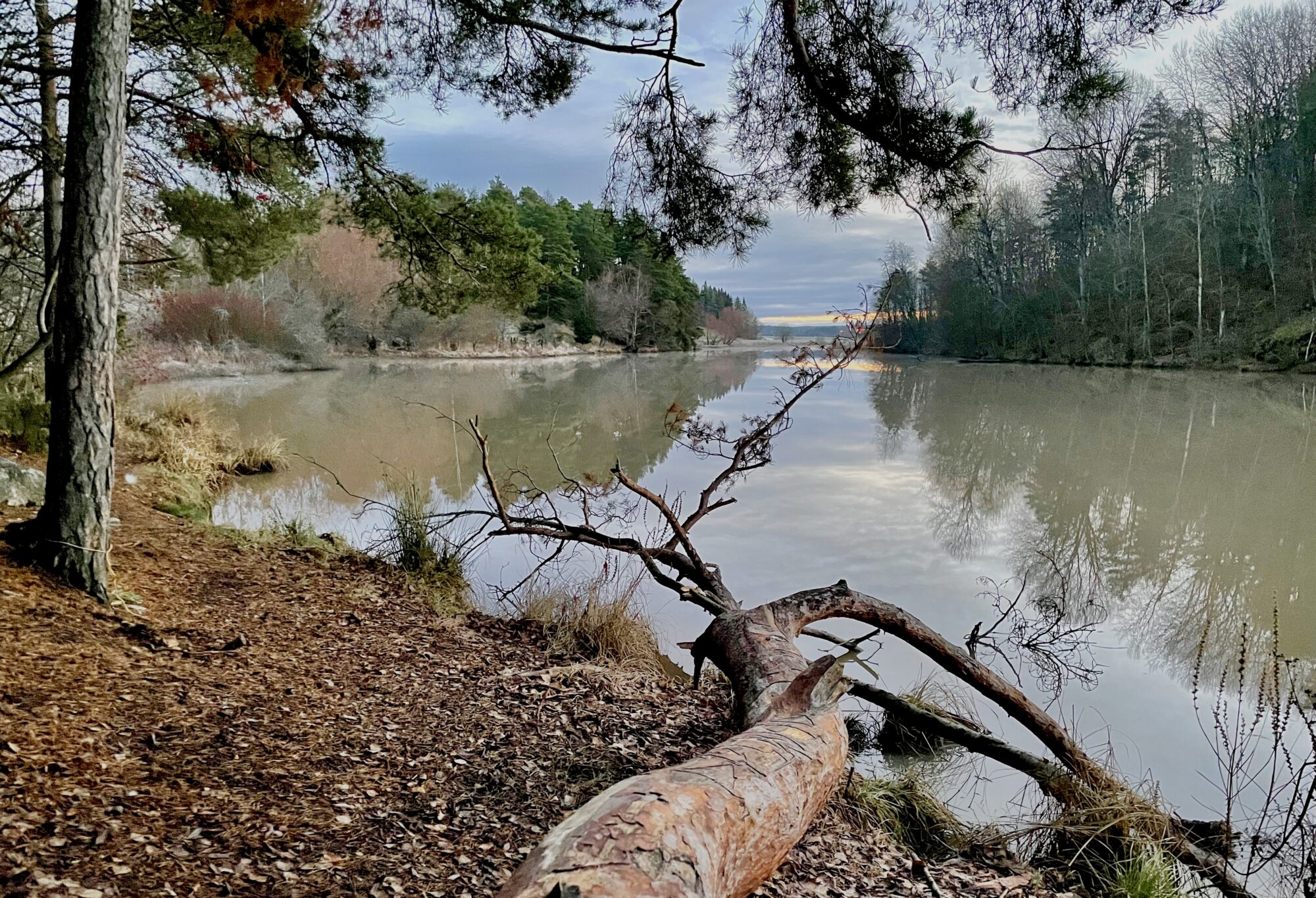 Valokuvaaja: Juhani Peltonen