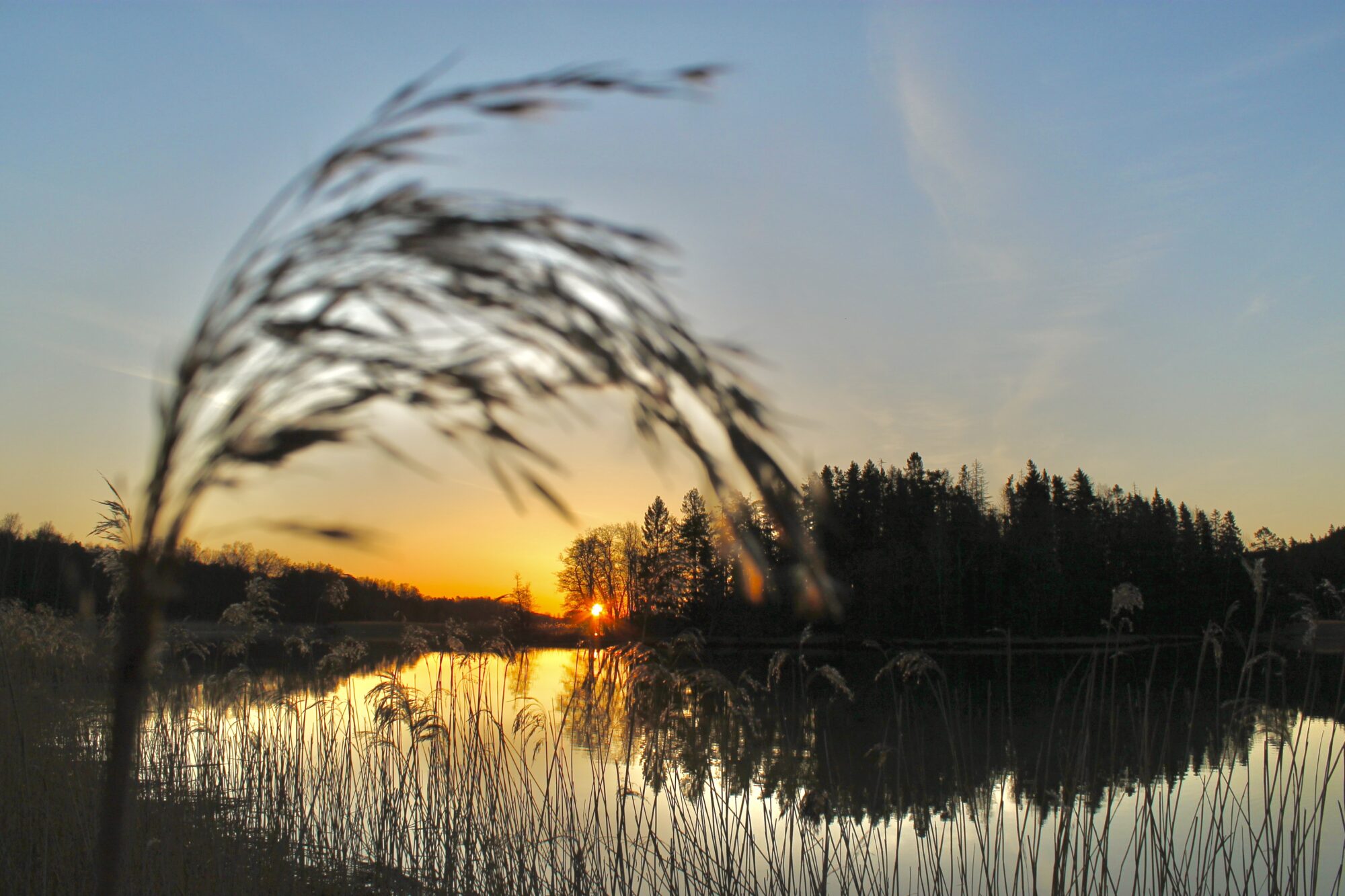Valokuvaaja: Juhani Peltonen