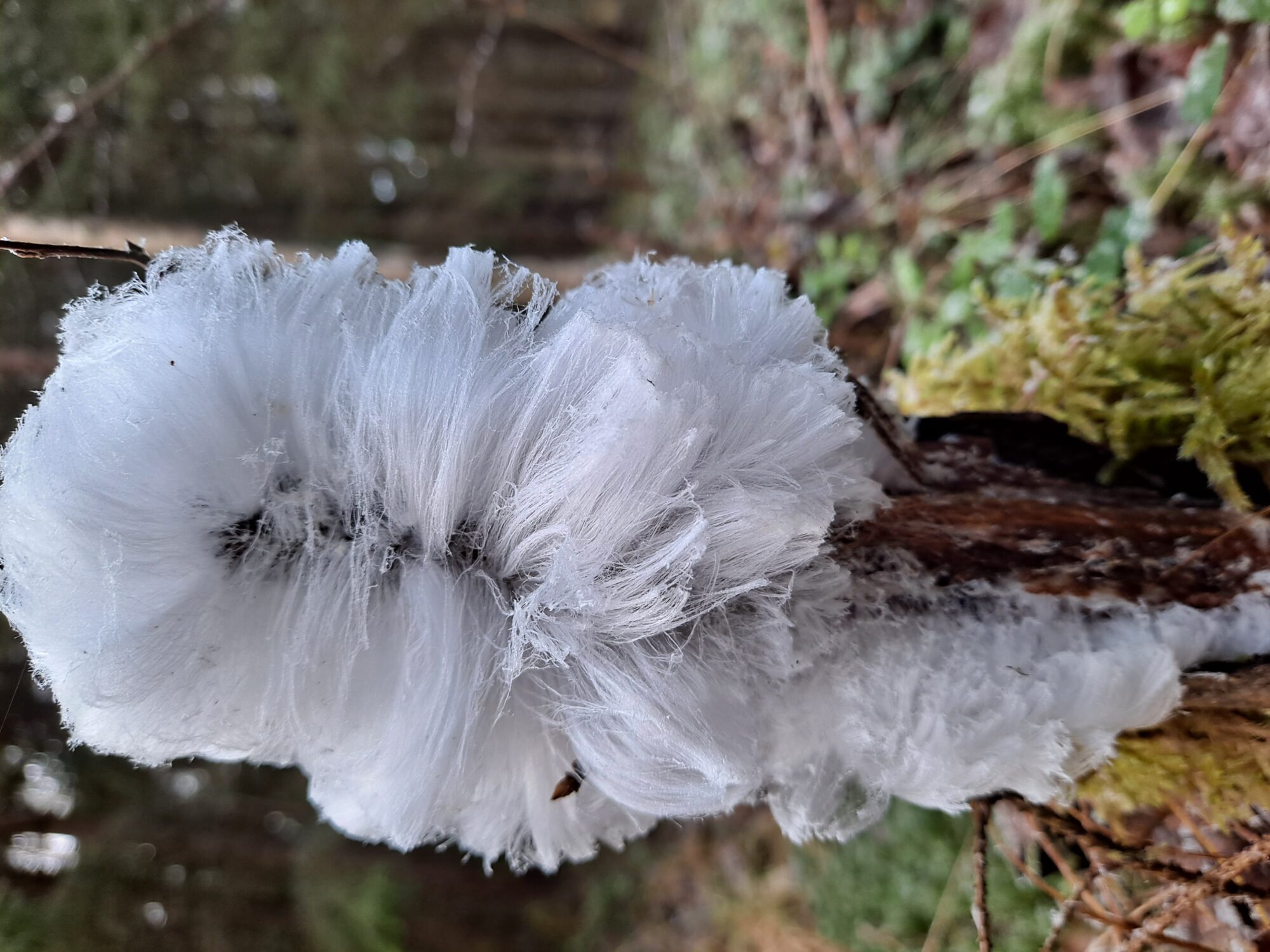 Valokuvaaja: Anna Mäki-Punto