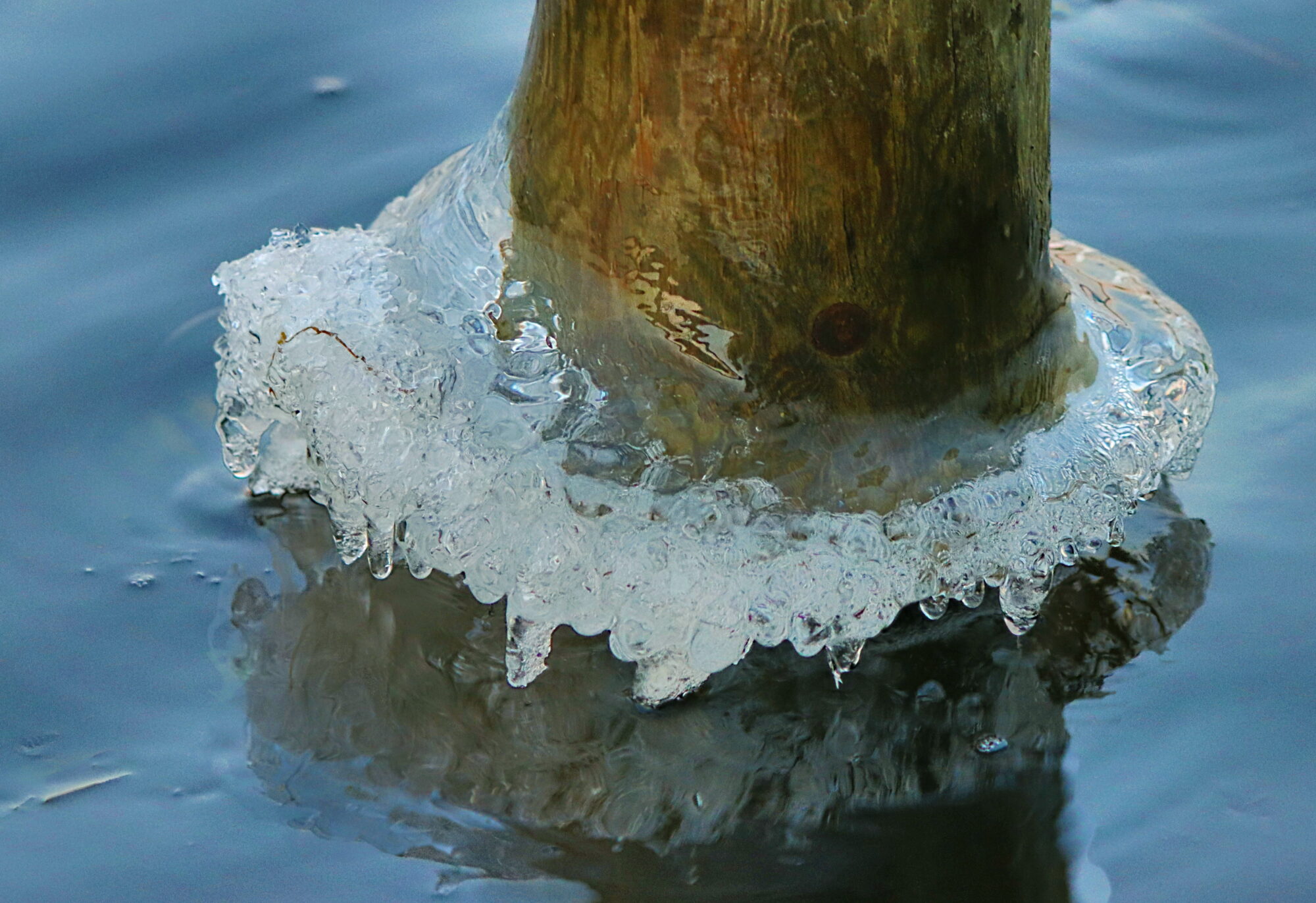 Valokuvaaja: Ritva Nieminen