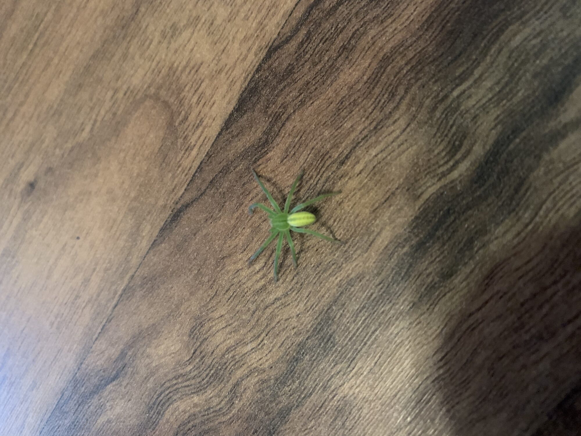 Valokuvaaja: Mirka Heiska Valokuvaaja: Mirka Heiska