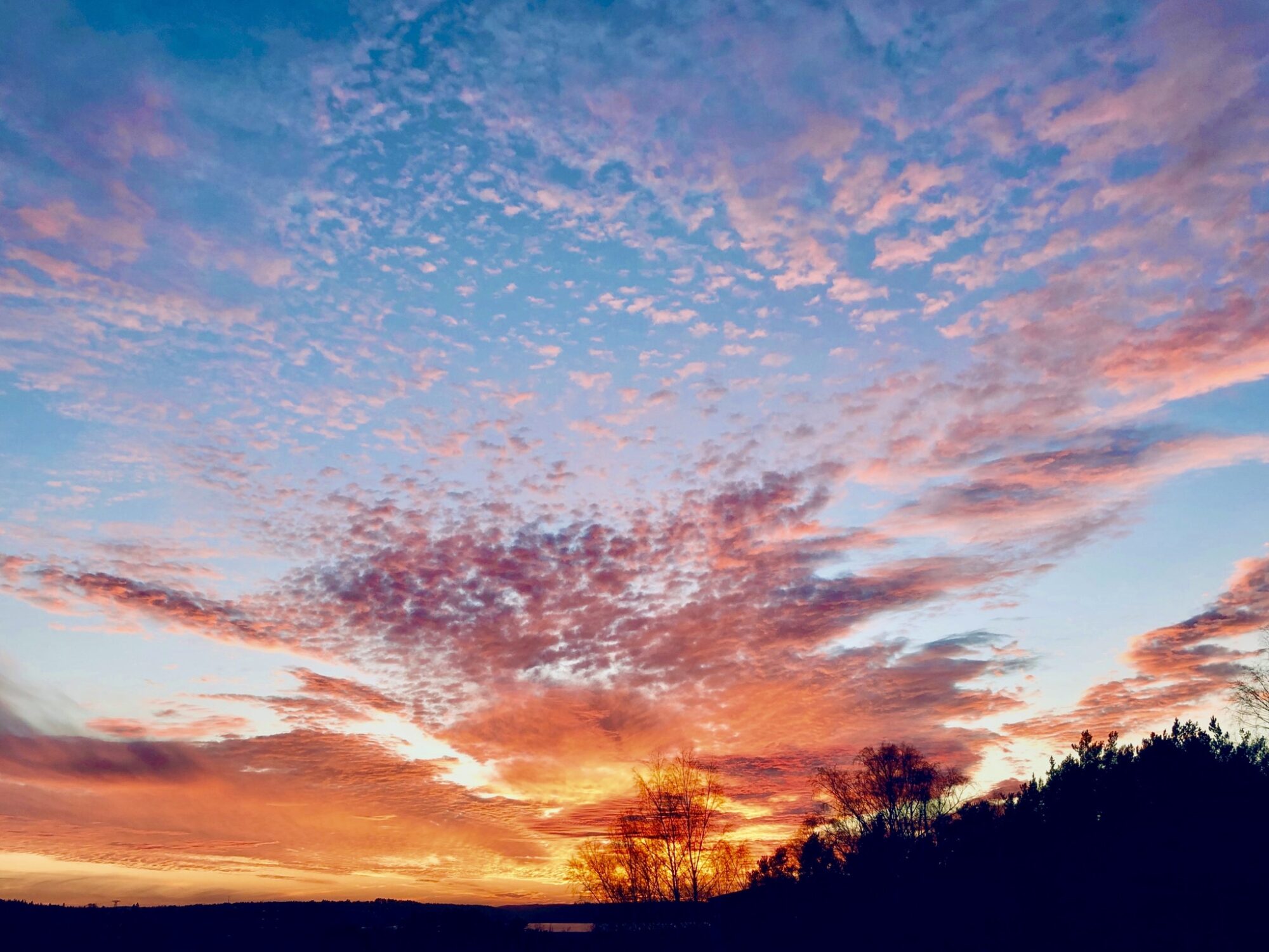 Valokuvaaja: Juhani Peltonen