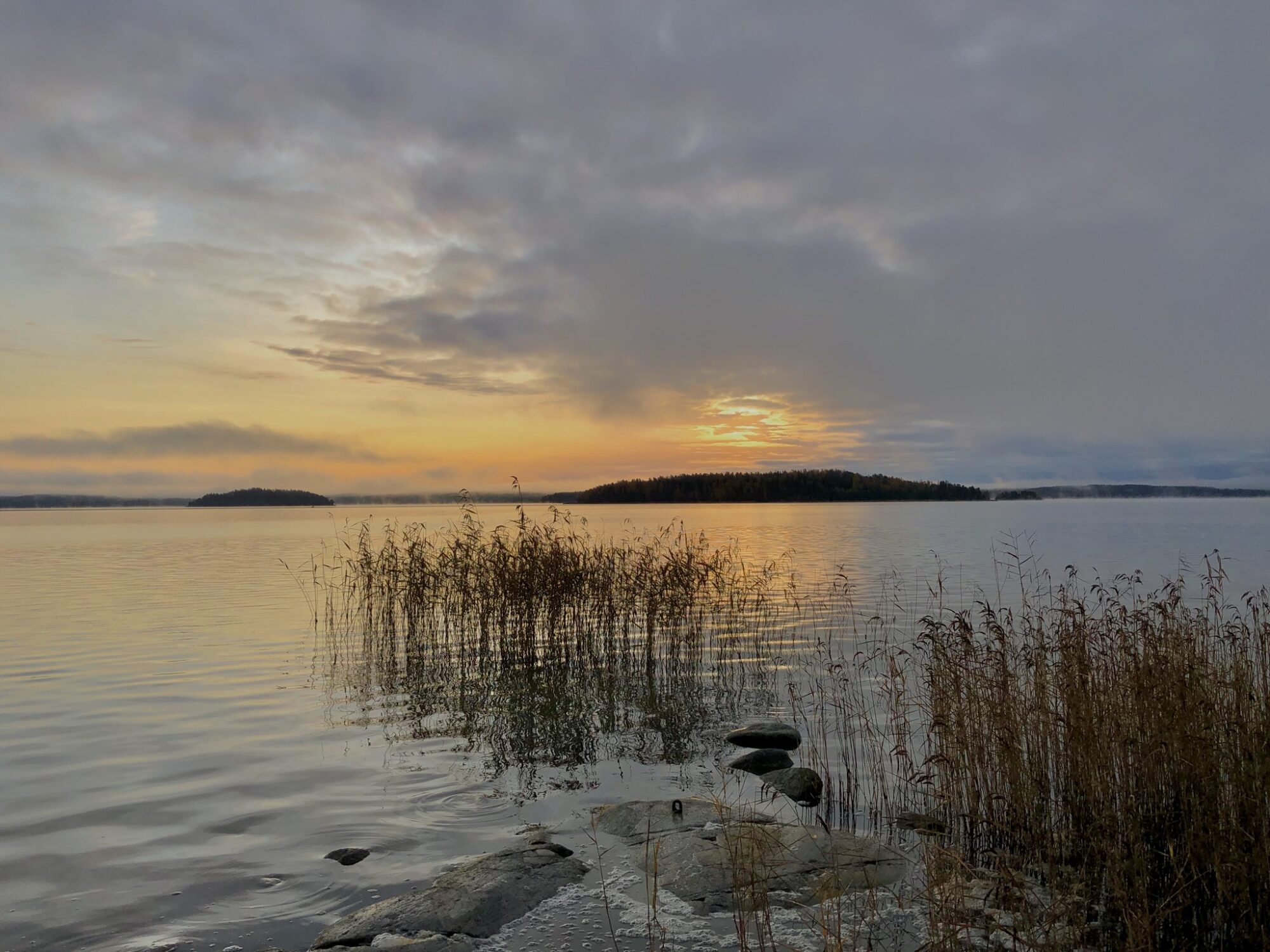 Valokuvaaja: Juhani Peltonen