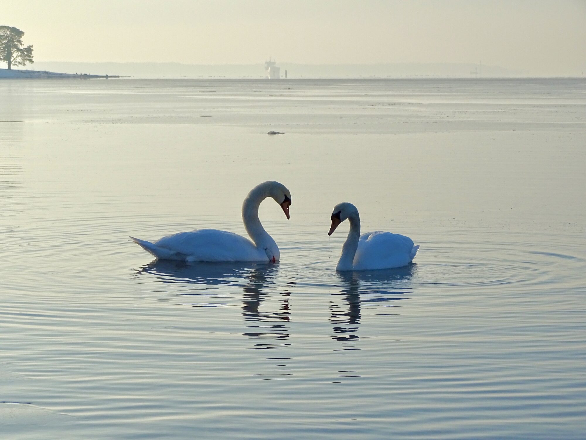 Valokuvaaja: Juhani Peltonen