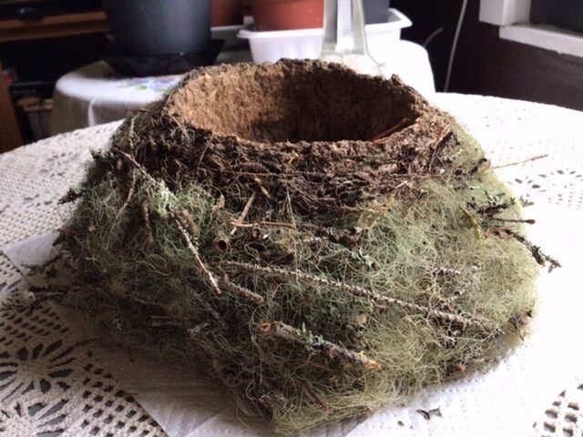 Valokuvaaja: Hellevi Hämäläinen