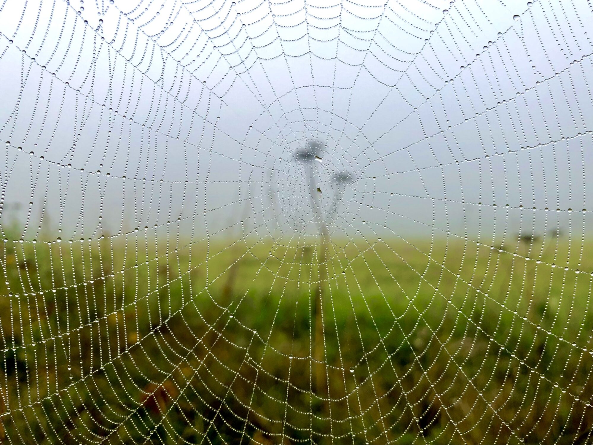 Valokuvaaja: Juhani Peltonen