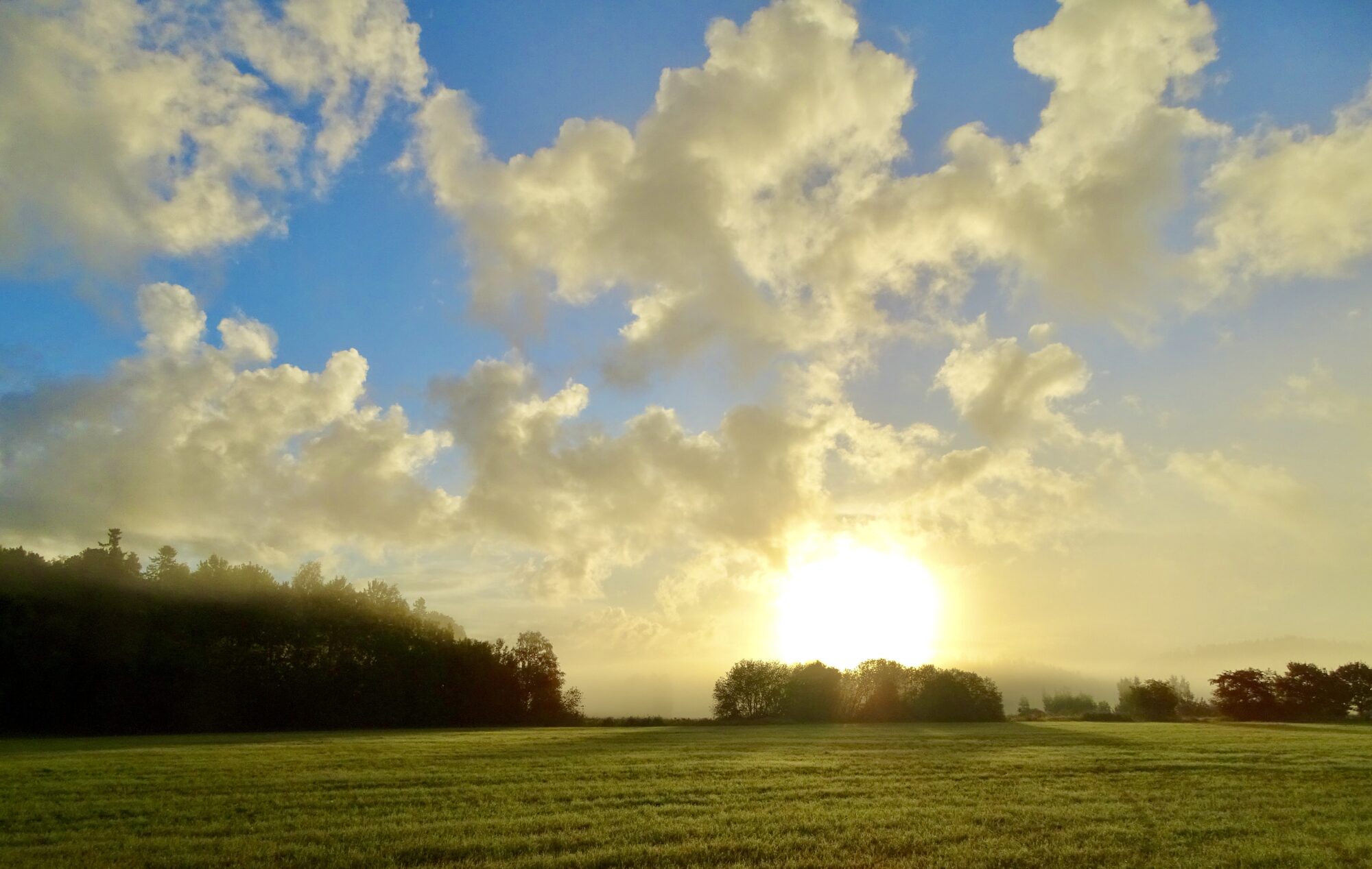 Valokuvaaja: Juhani Peltonen