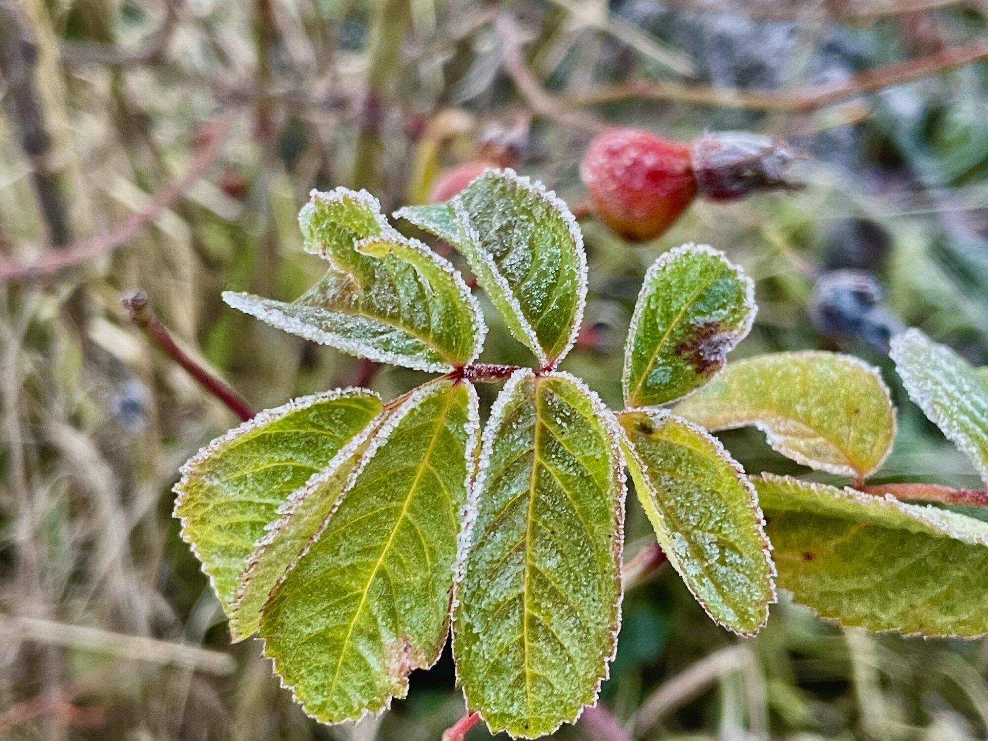 Valokuvaaja: Juhani Peltonen