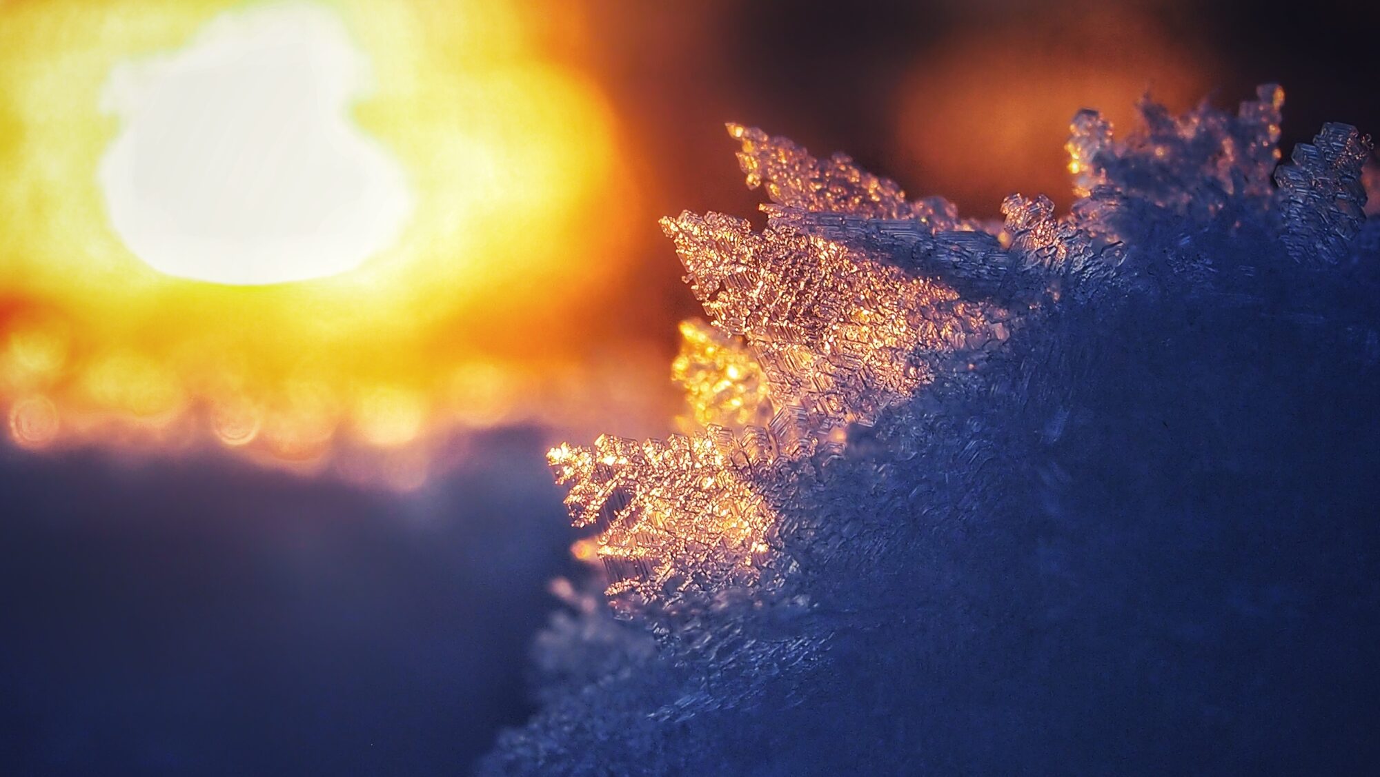 Valokuvaaja: Sonja Jaakola