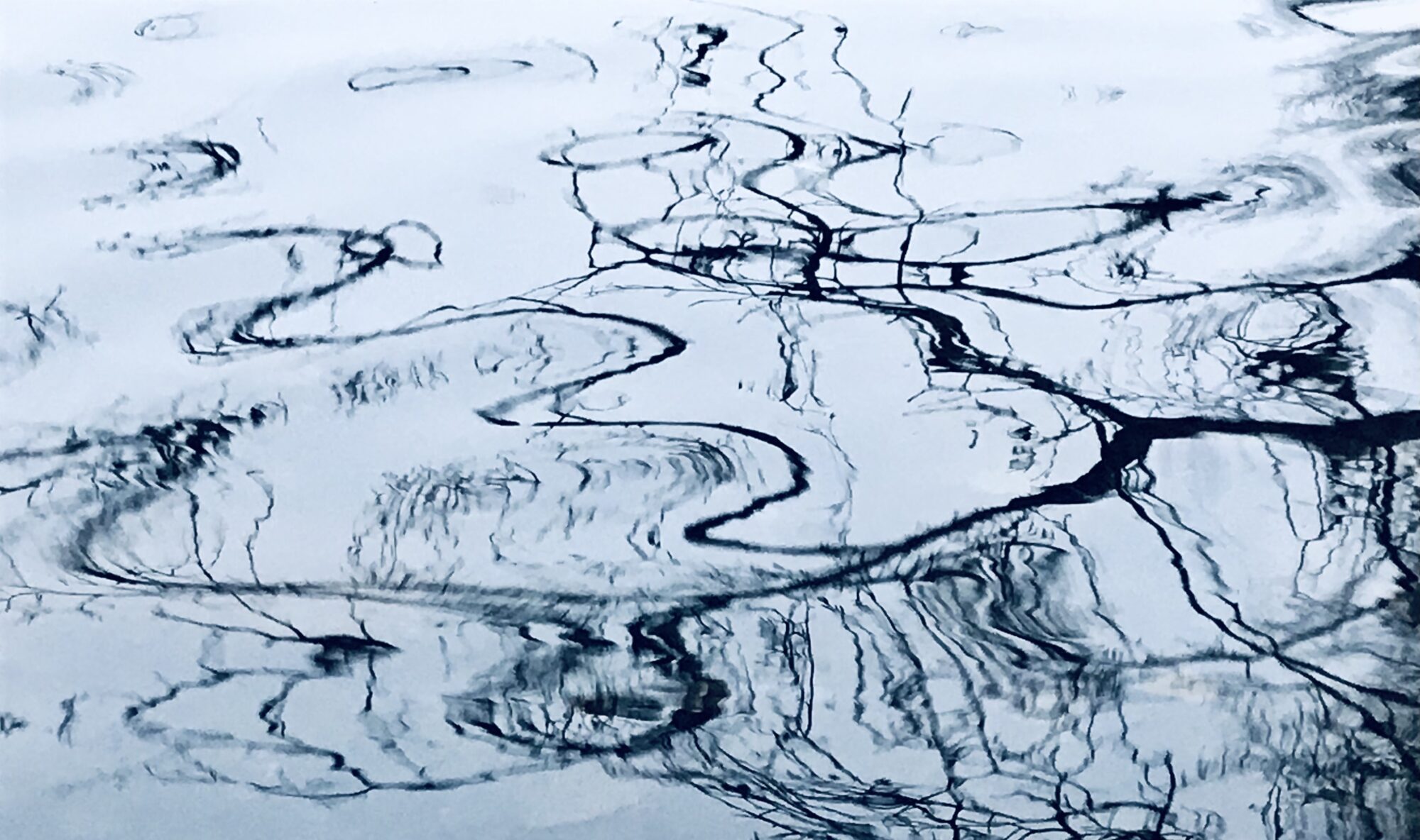 Valokuvaaja: Anne Patana