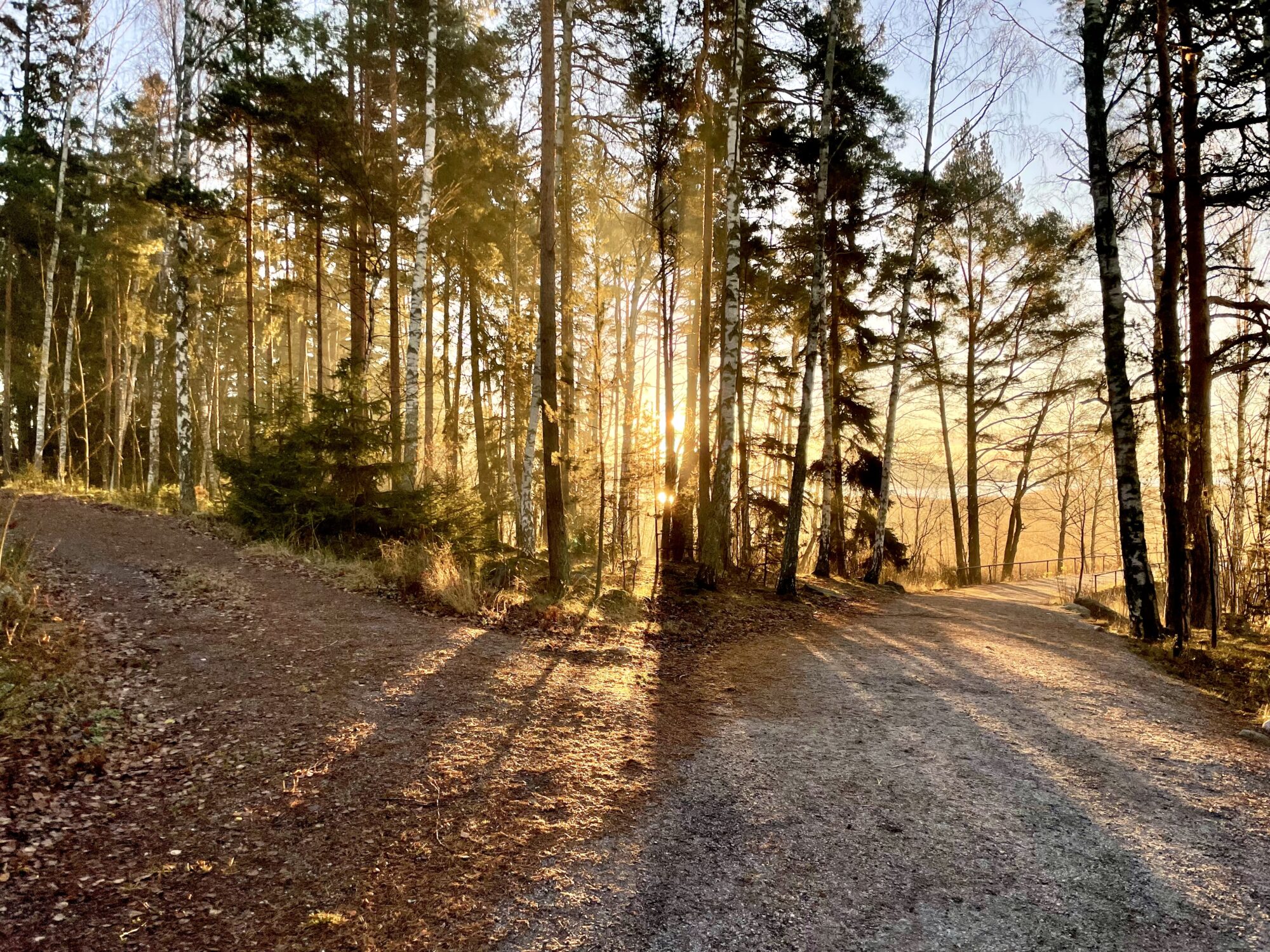 Valokuvaaja: Juhani Peltonen