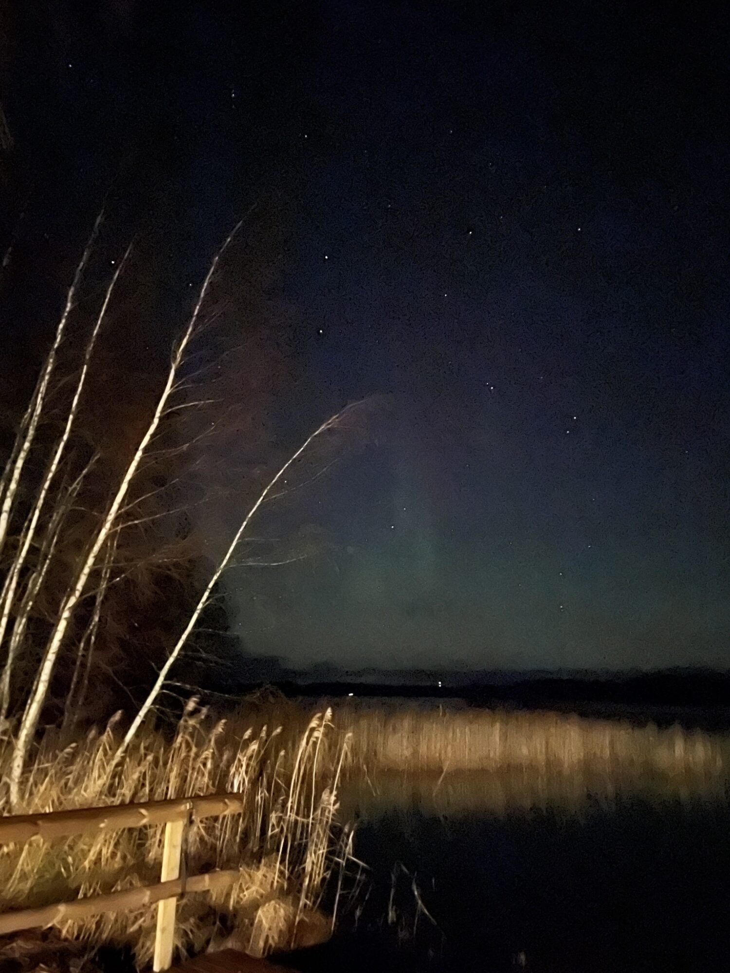 Valokuvaaja: Johanna Pennanen