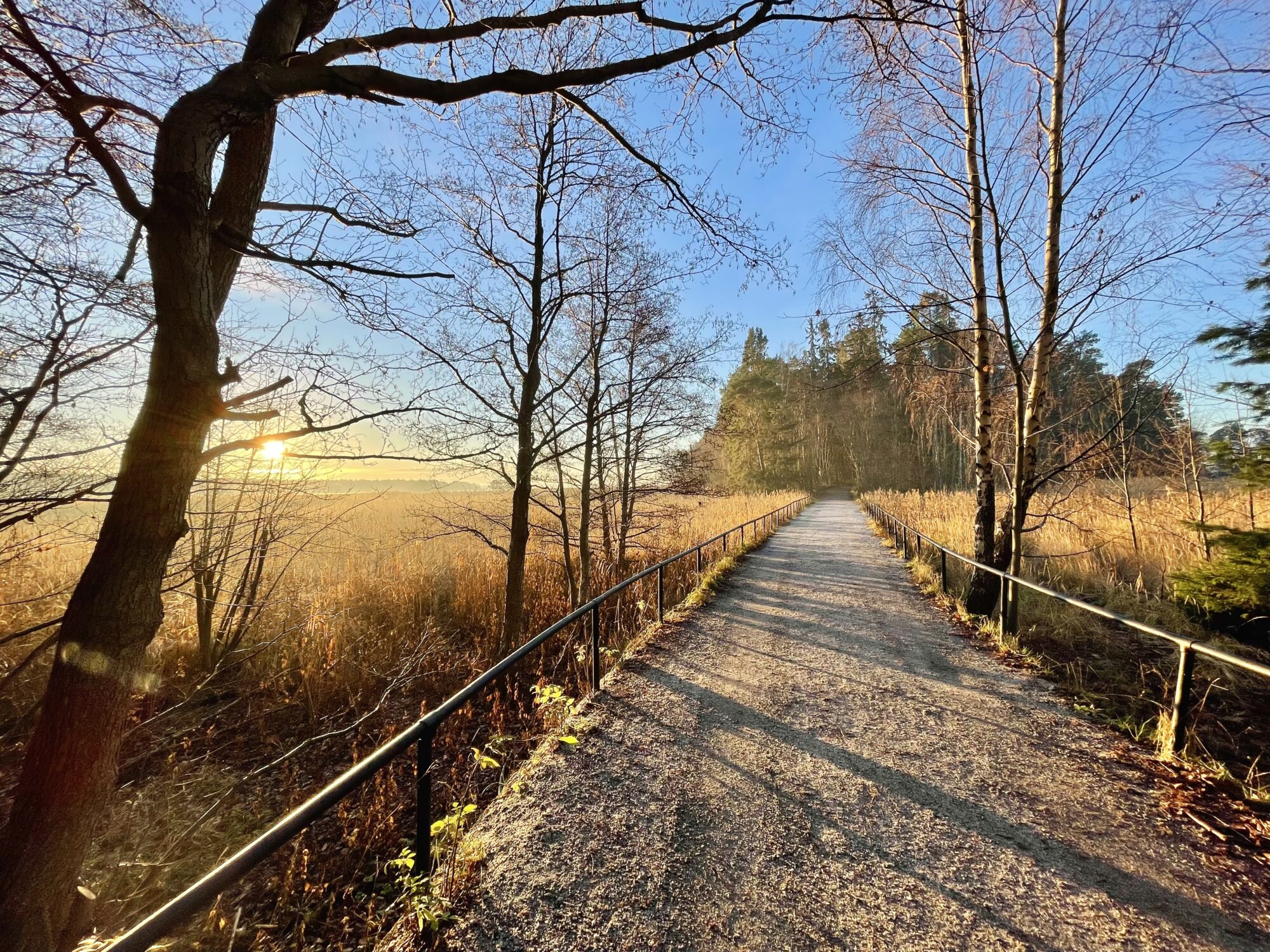 Valokuvaaja: Juhani Peltonen Valokuvaaja: Juhani Peltonen