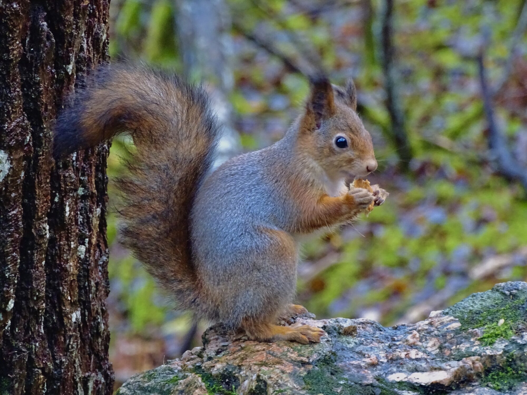 Valokuvaaja: Juhani Peltonen